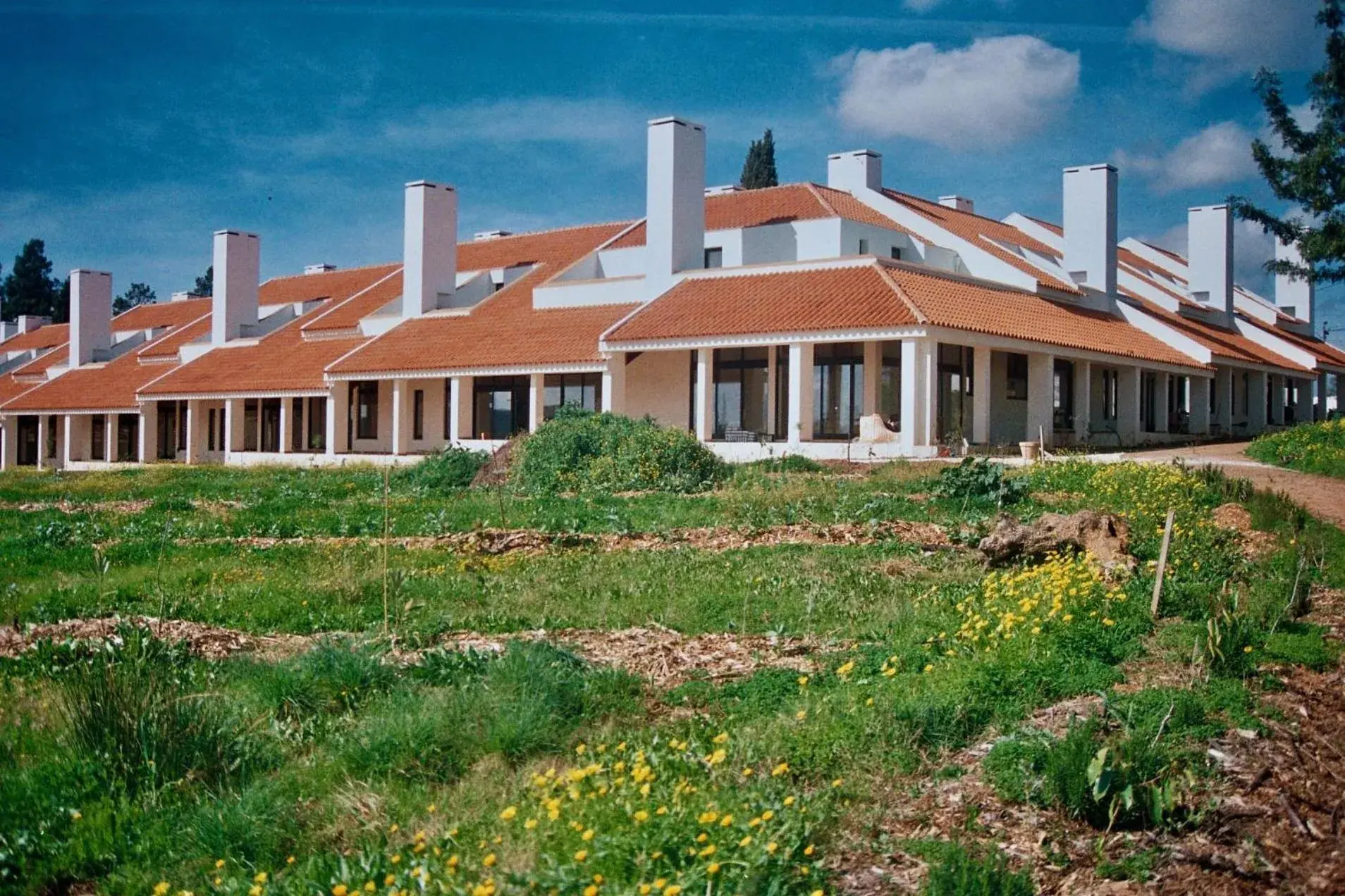 Property building in Calipo Property building in Calipo