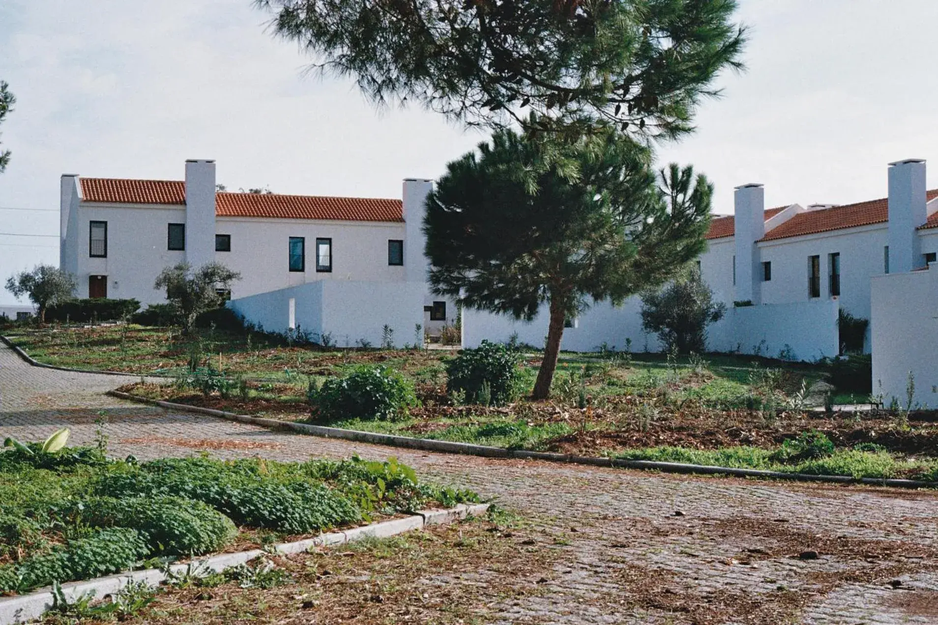 Property building in Calipo Property building in Calipo