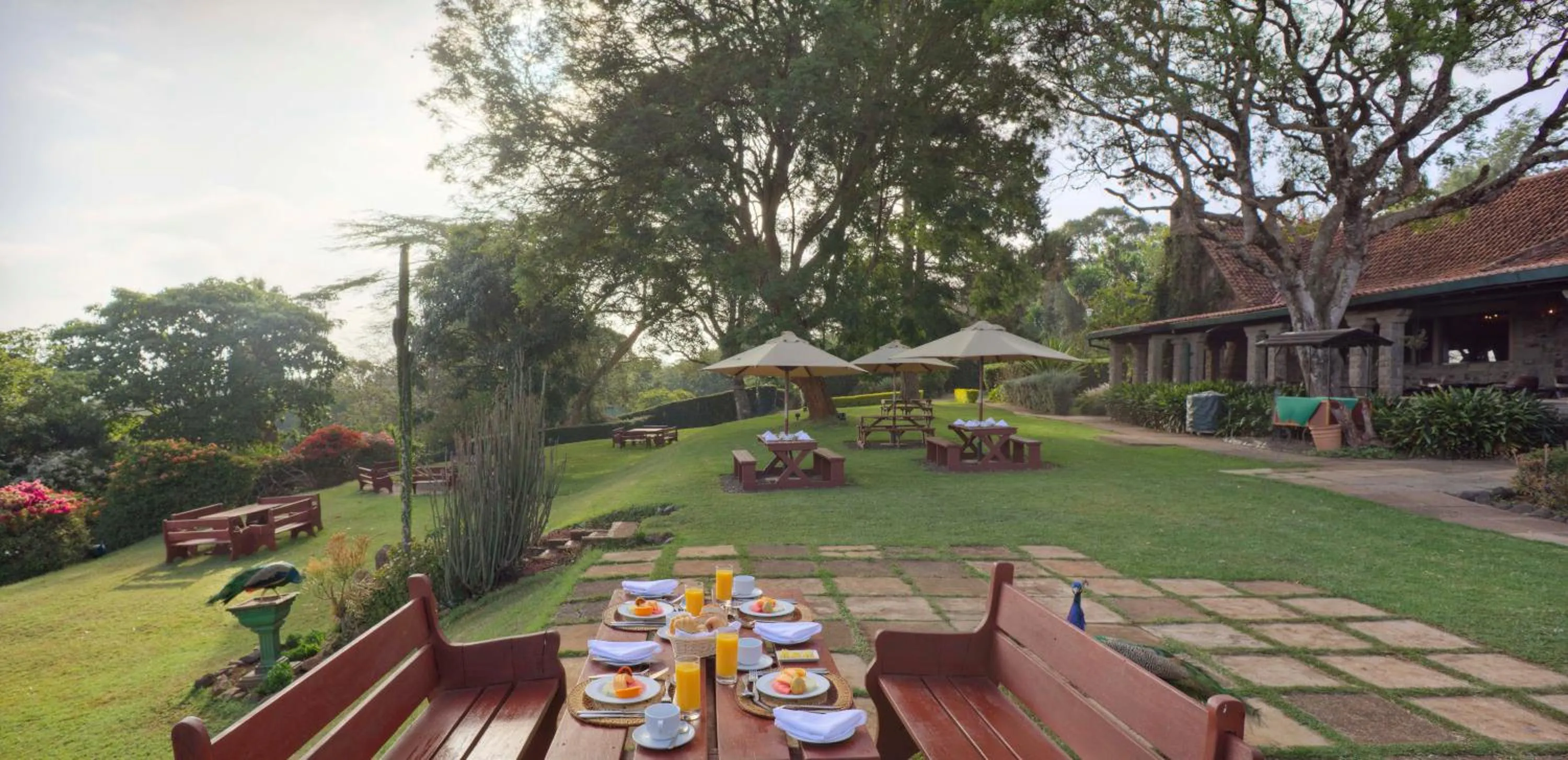 Property building in The Aberdare Country Club