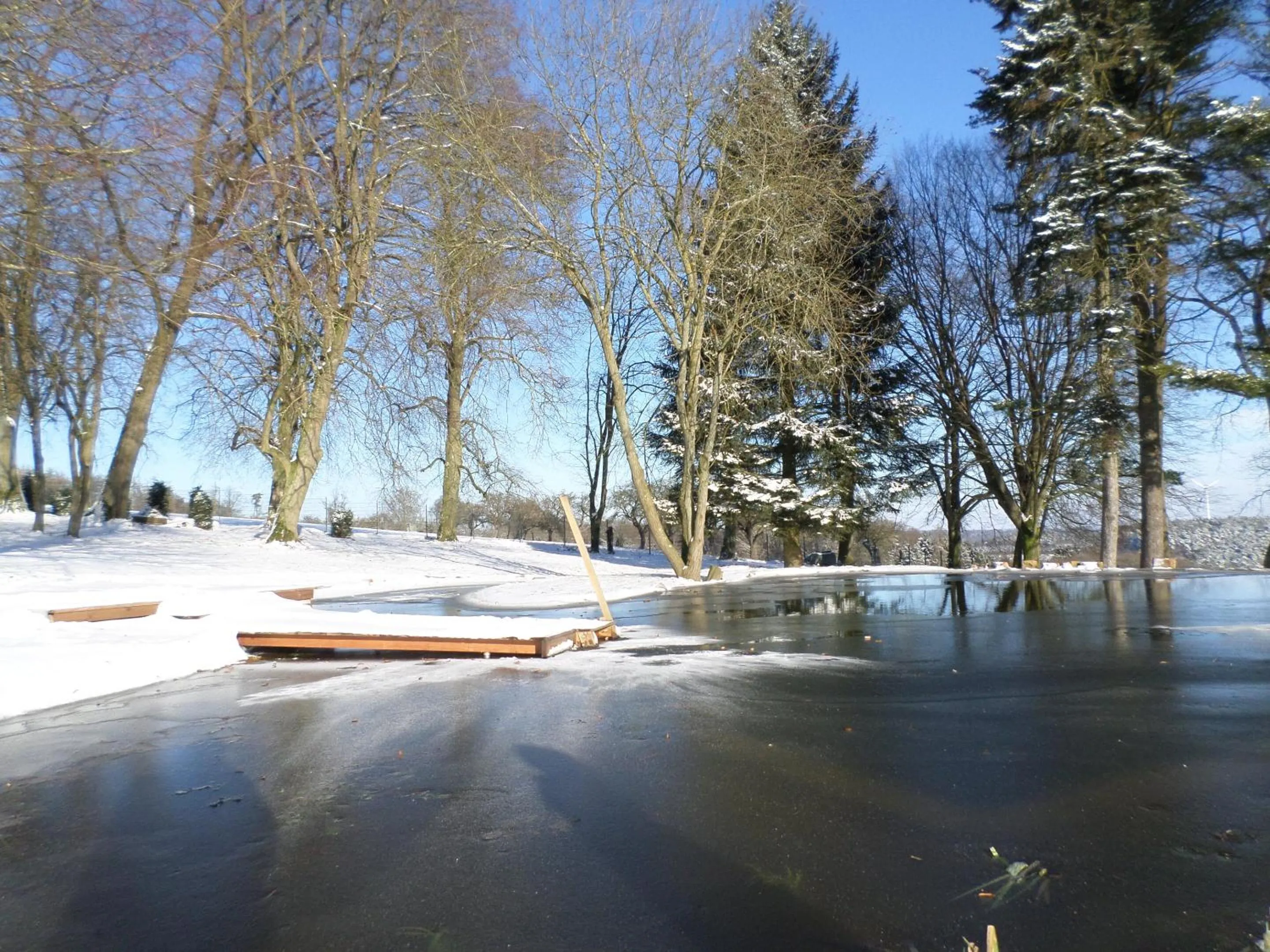 Garden in Villa Geisenhof