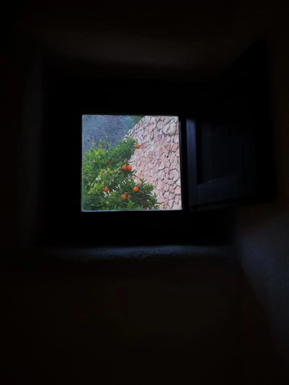 Other in Casa Rural Cortijo La Alberca