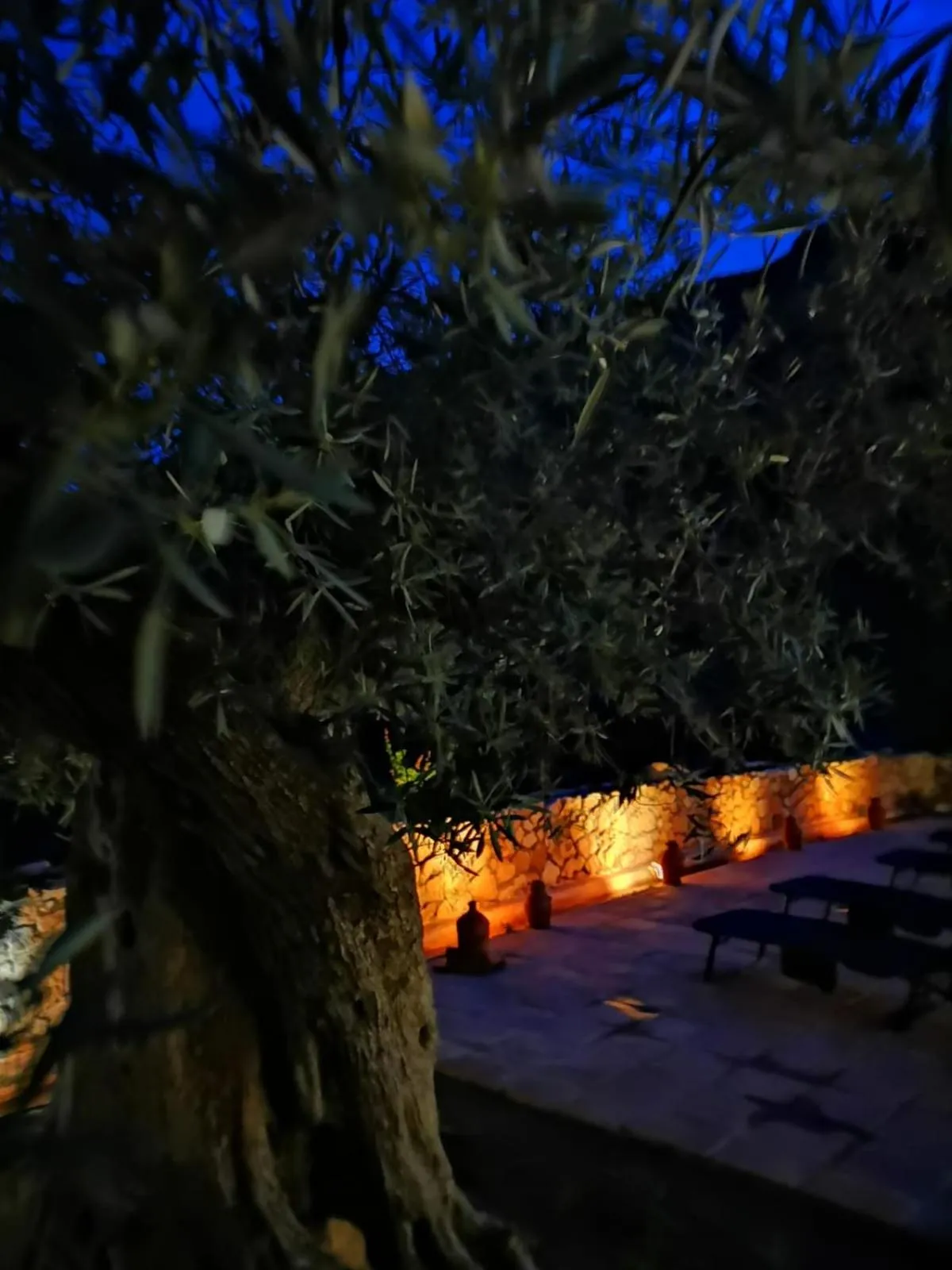 Casa Rural Cortijo La Alberca