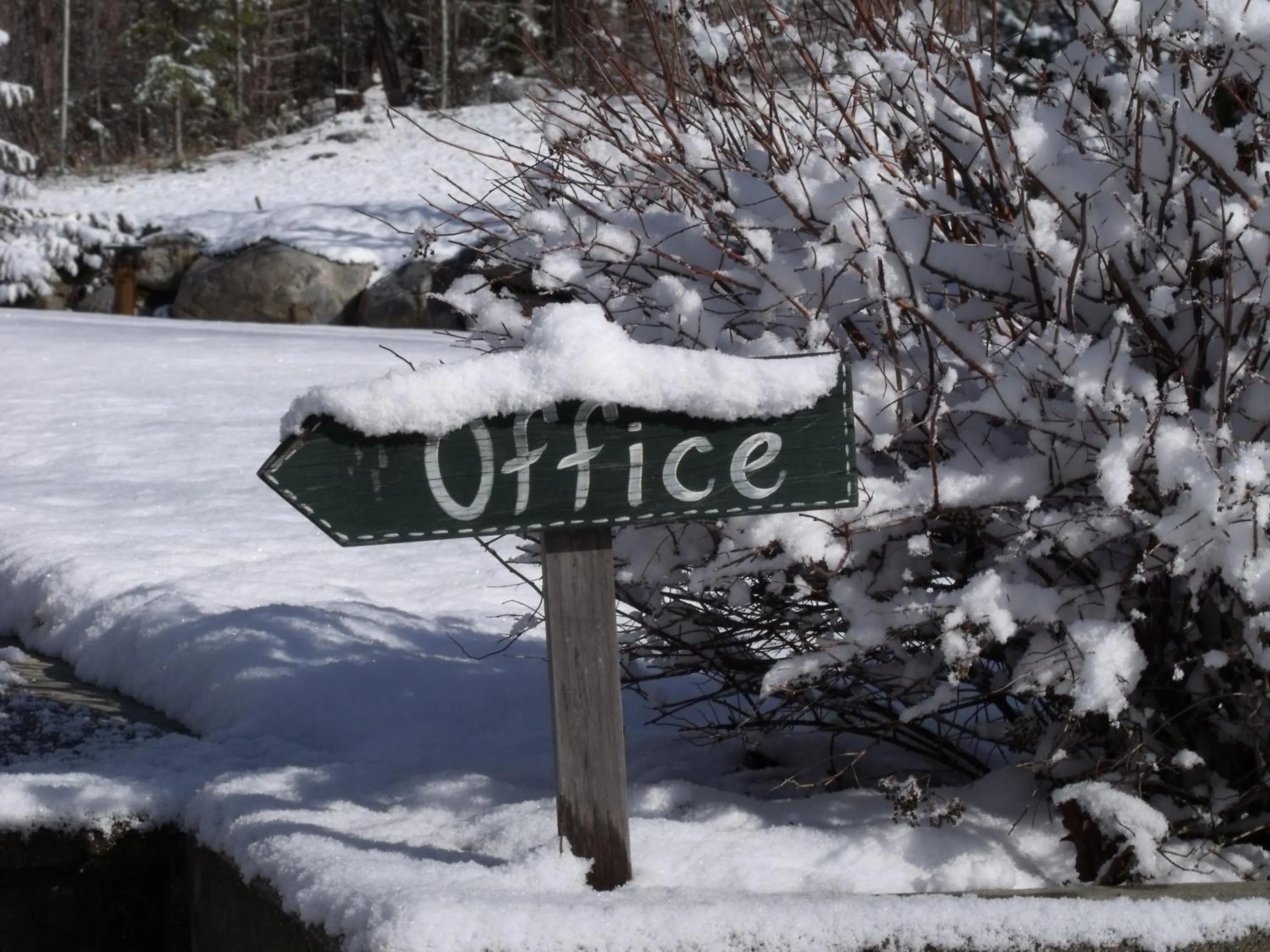 Winter in Silver Star Bed and Breakfast