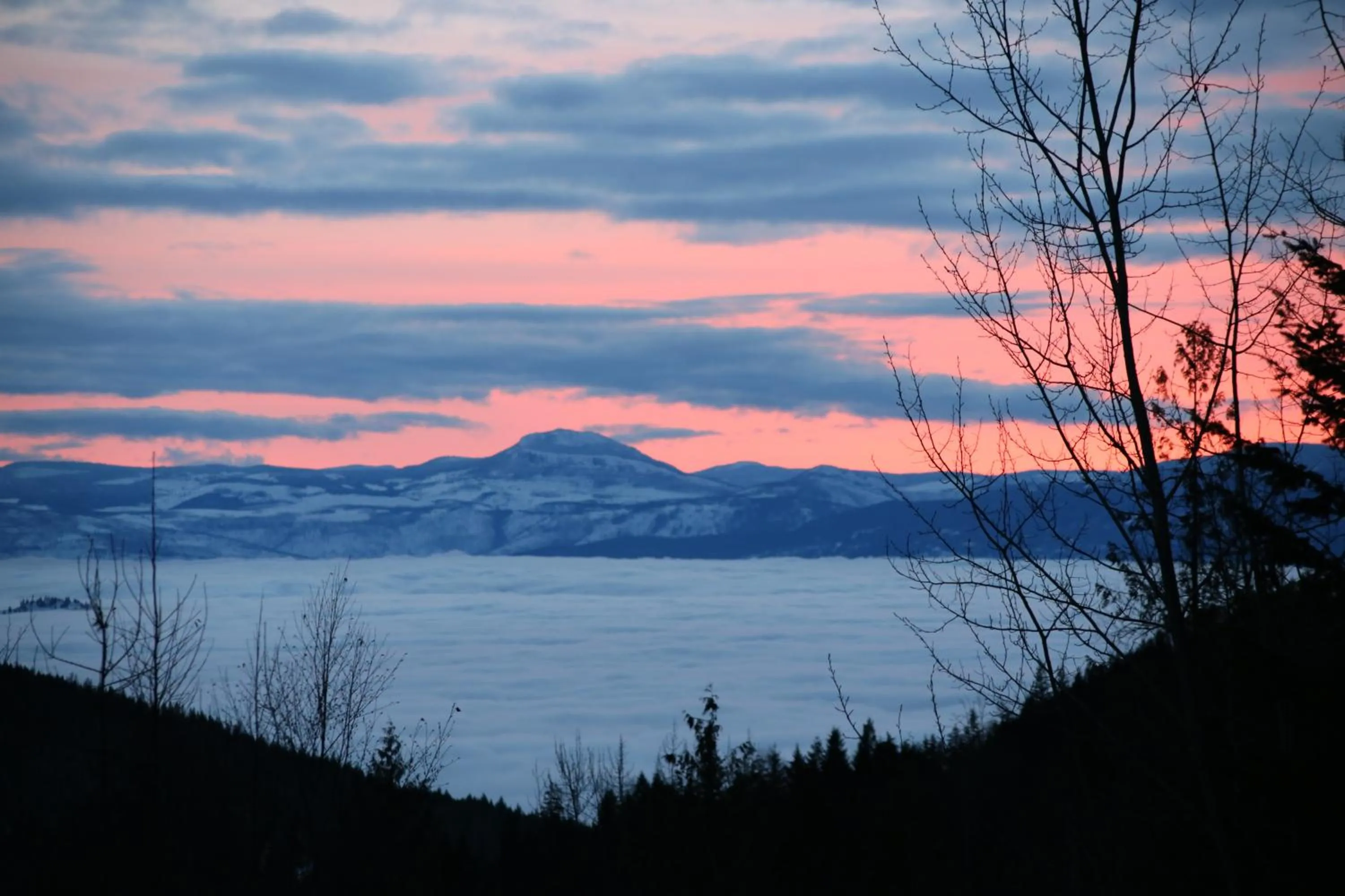 Natural landscape in Silver Star Bed and Breakfast