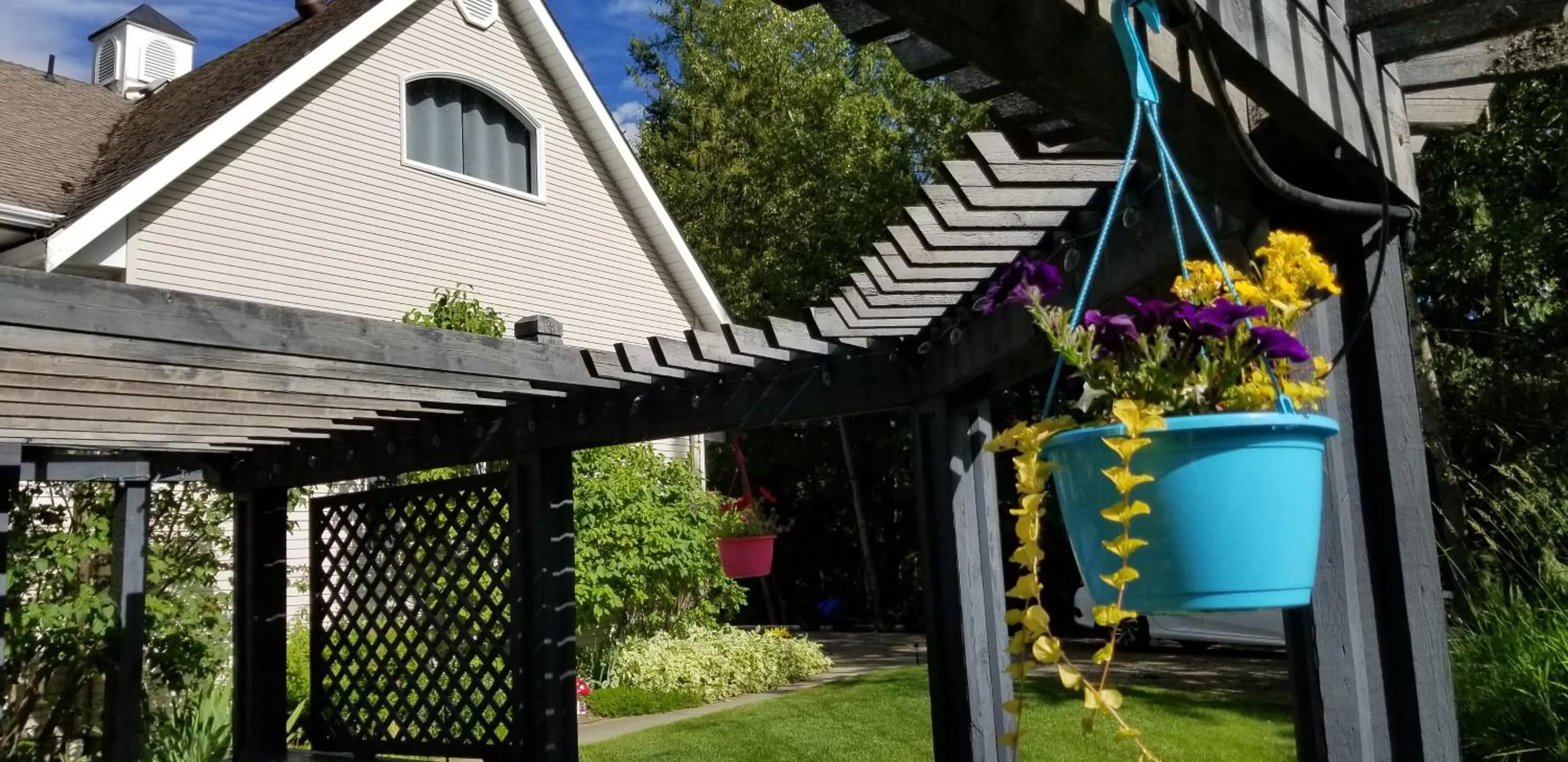 Garden view in Silver Star Bed and Breakfast