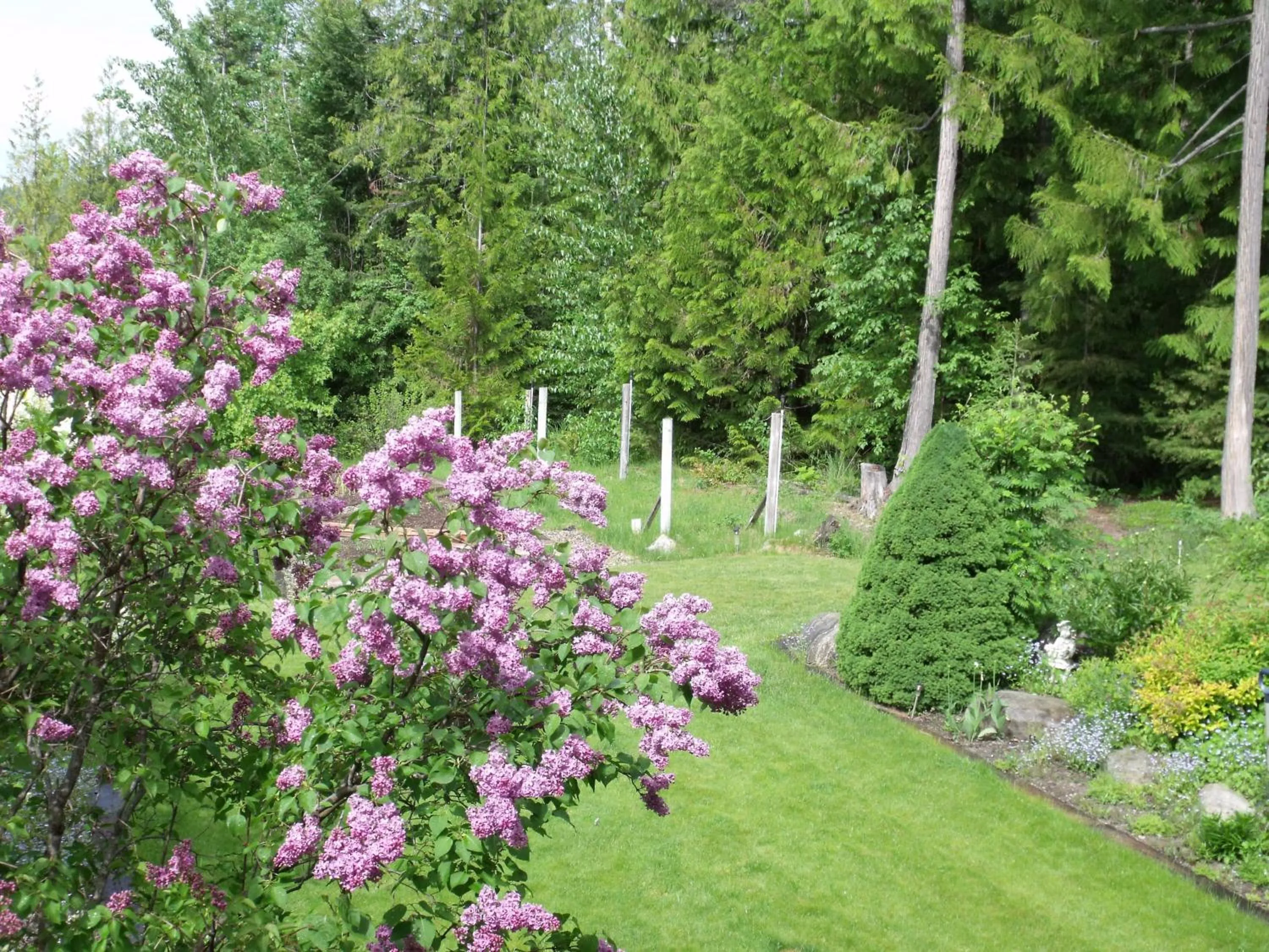 Day in Silver Star Bed and Breakfast