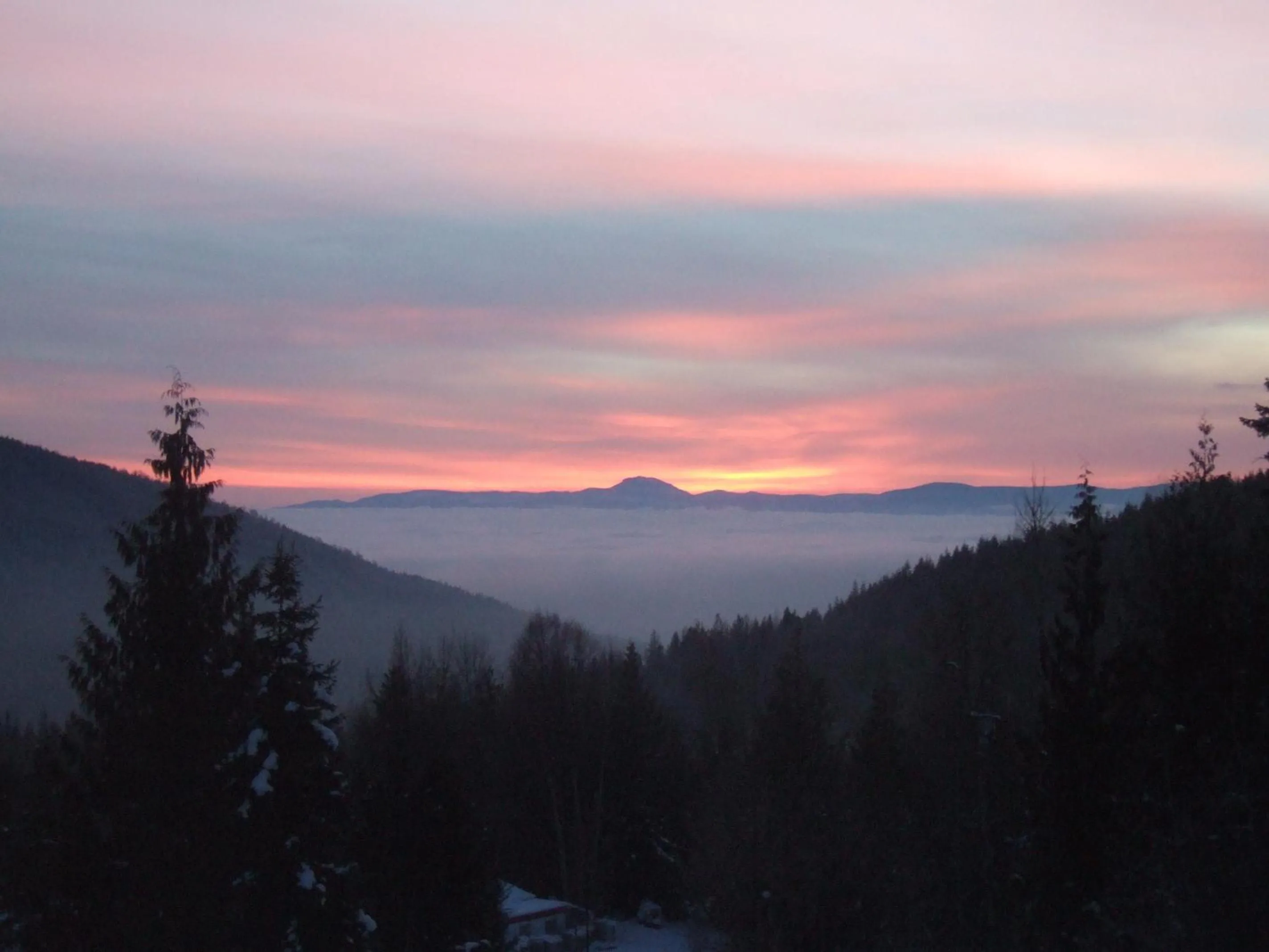 Mountain view in Silver Star Bed and Breakfast