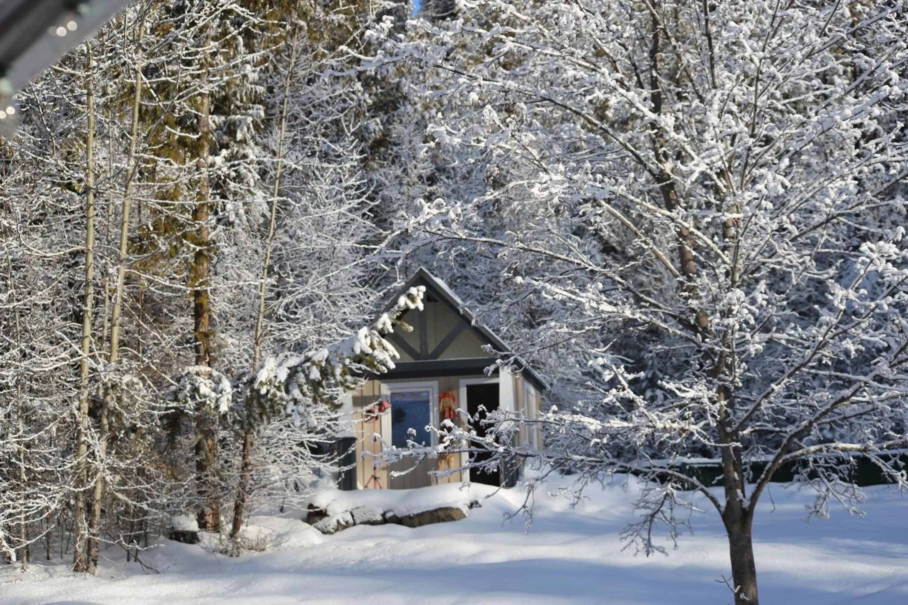Day in Silver Star Bed and Breakfast