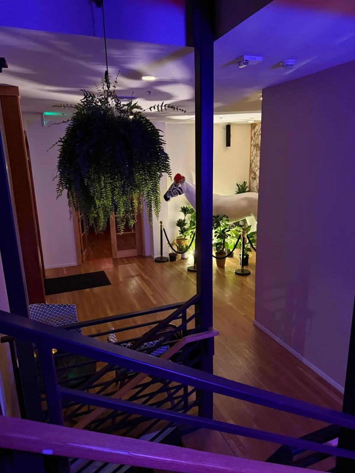 Lobby or reception in Unicorn Zebra