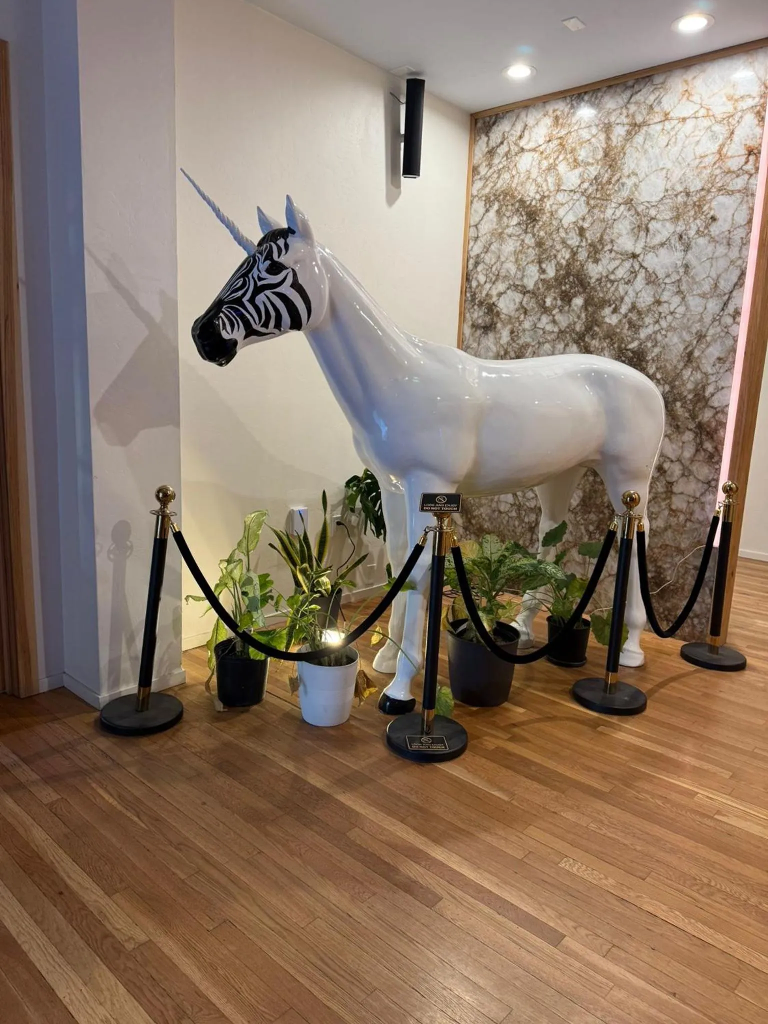 Lobby or reception in Unicorn Zebra