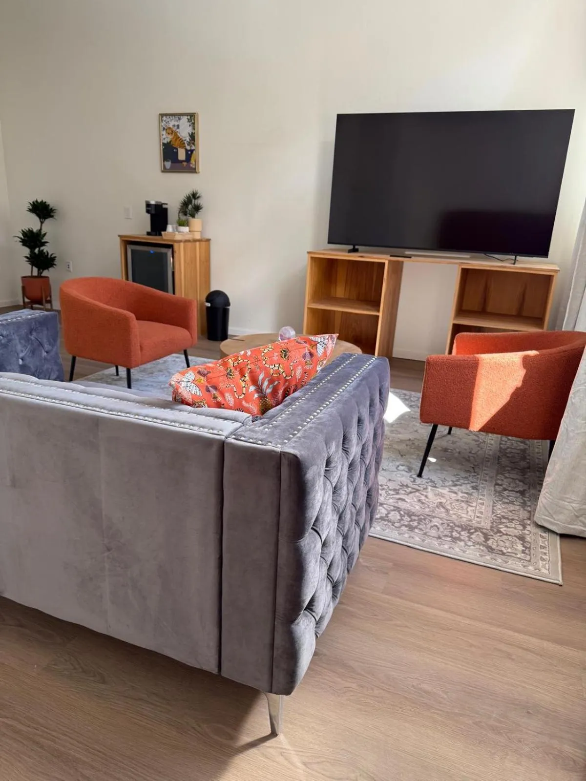 TV and multimedia in Unicorn Zebra