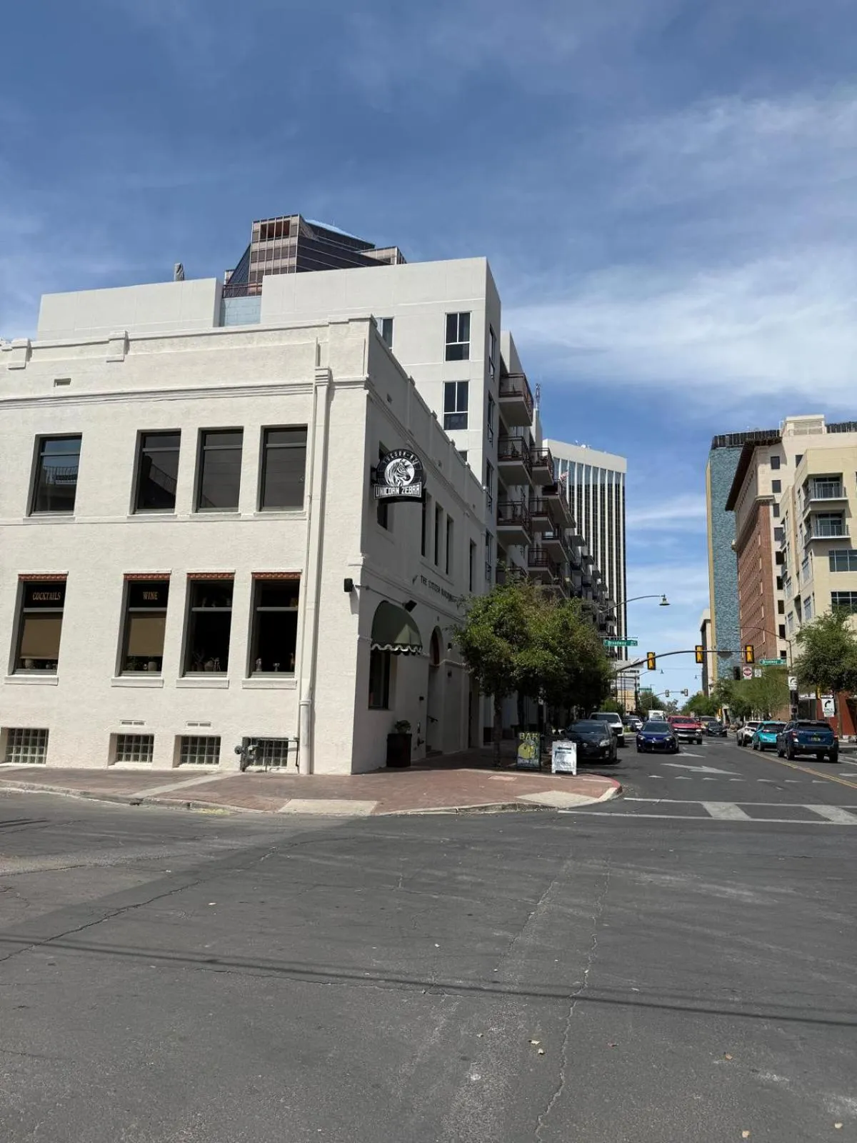 Day in Unicorn Zebra