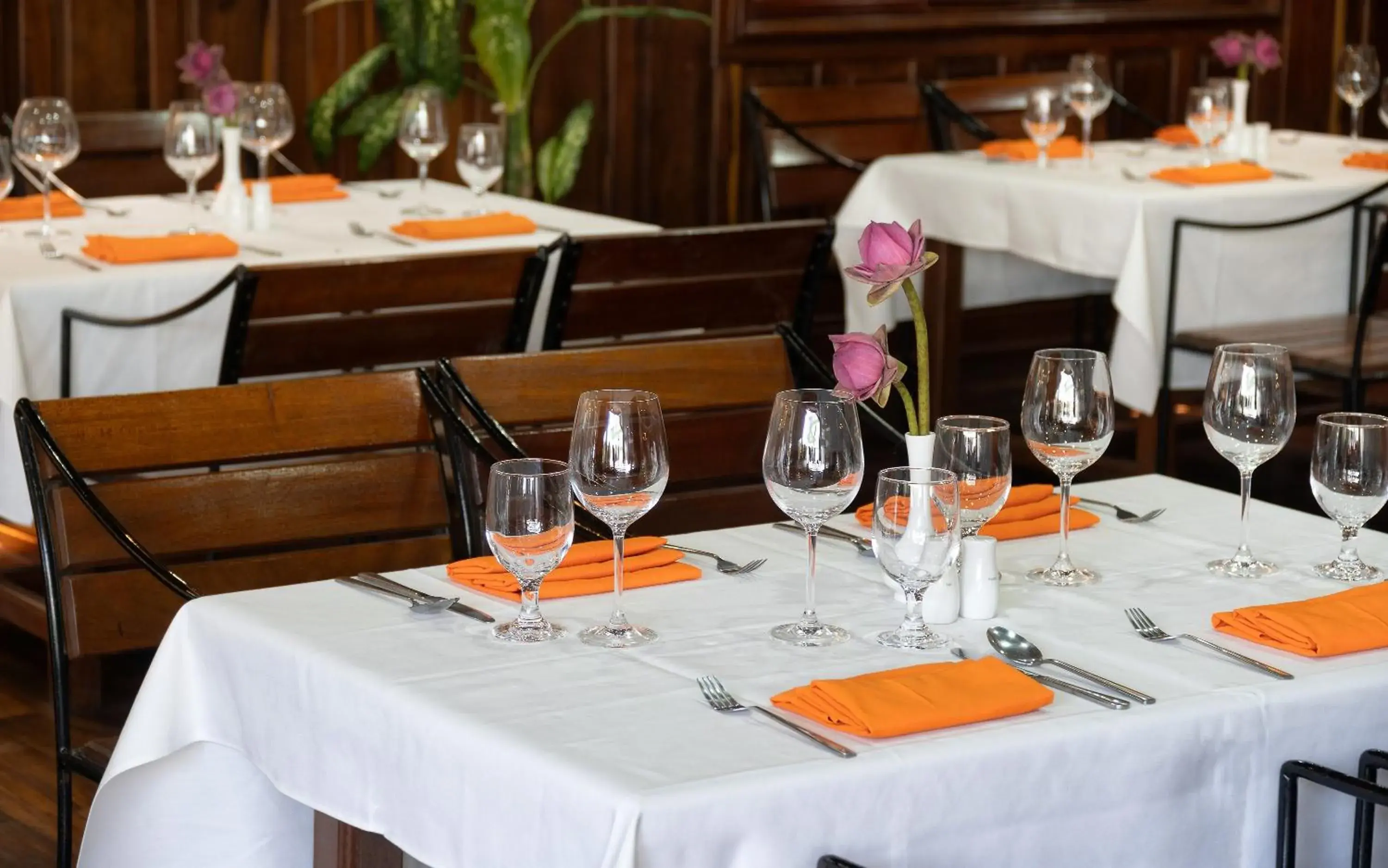 Restaurant/places to eat in Siem Reap Center Hotel Restaurant/places to eat in Siem Reap Center Hotel