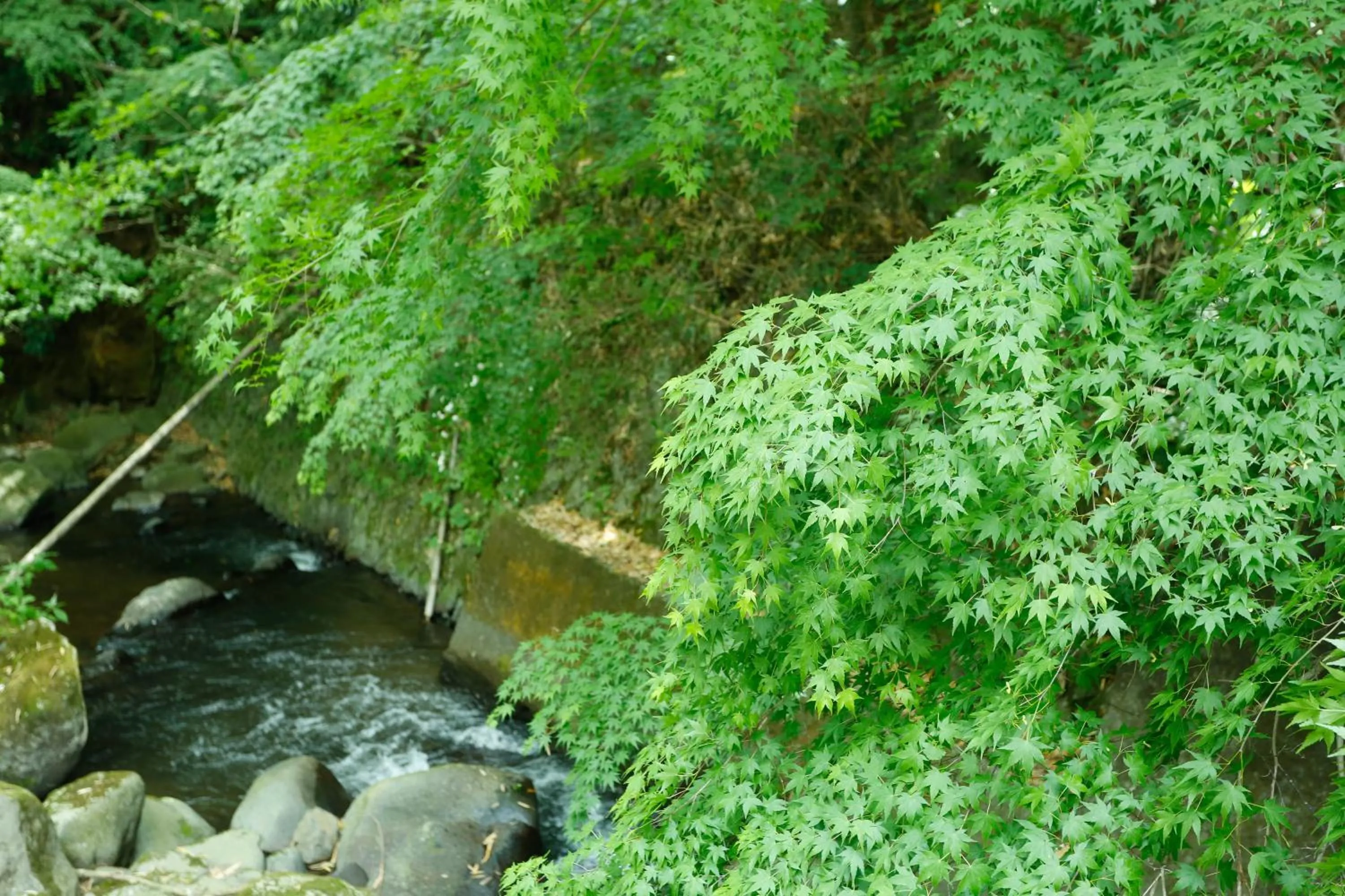 Off site in Hakuunsou