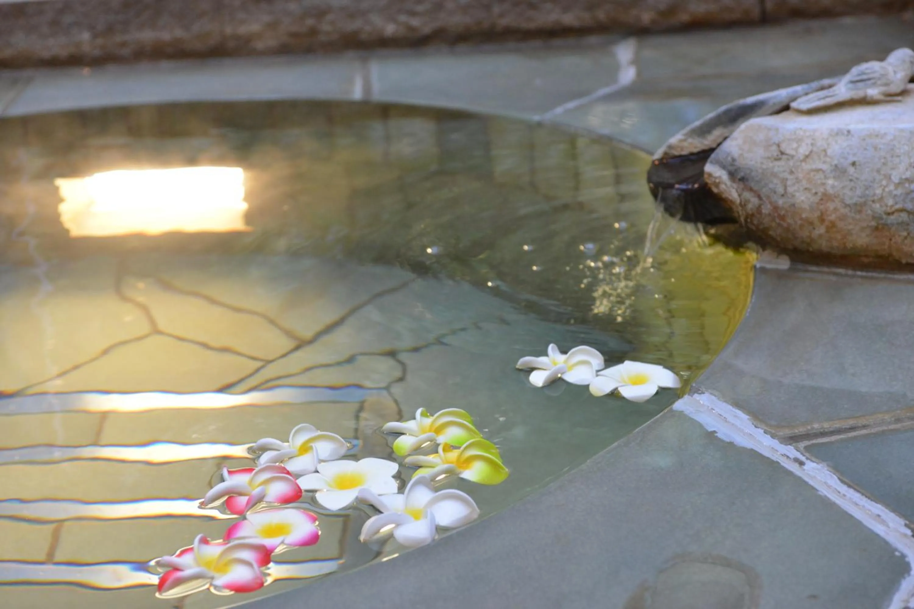 Hot Spring Bath in Hakuunsou
