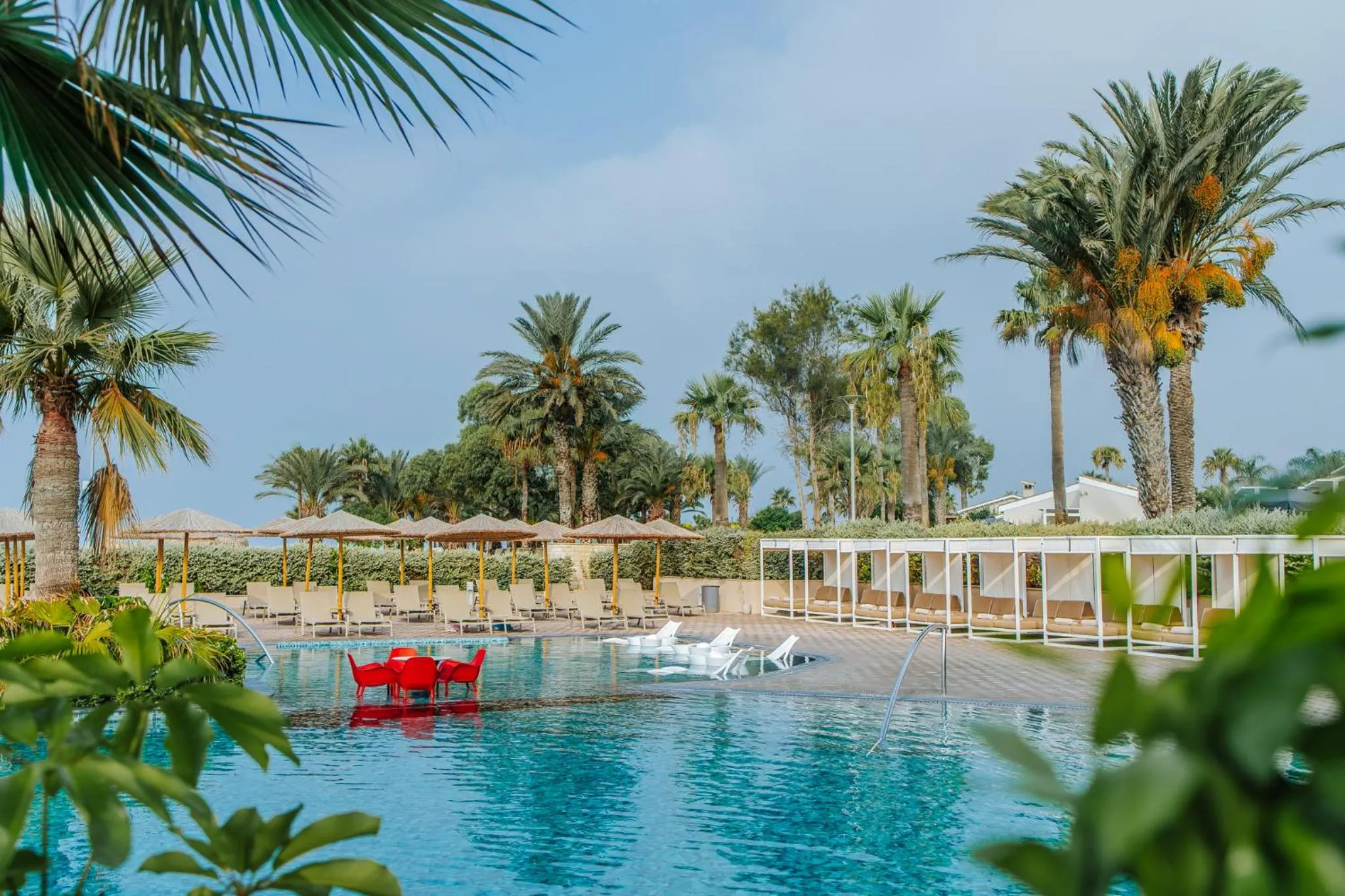 Garden in Mare Ayia Napa