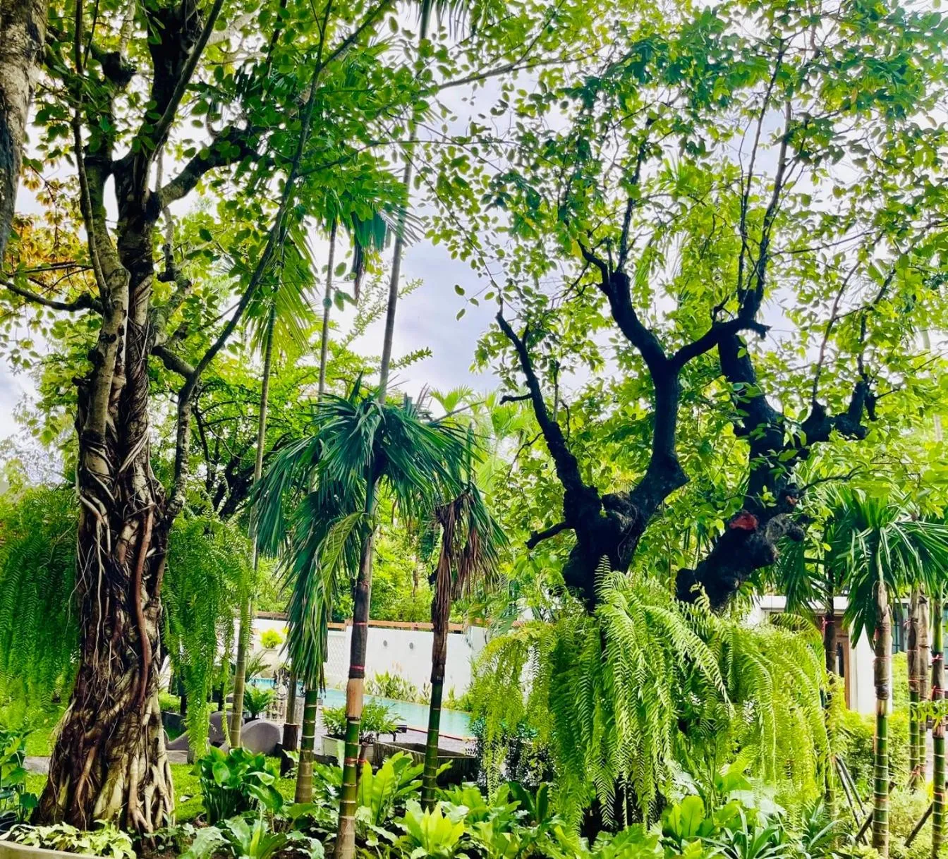 Natural landscape in Tai Resort