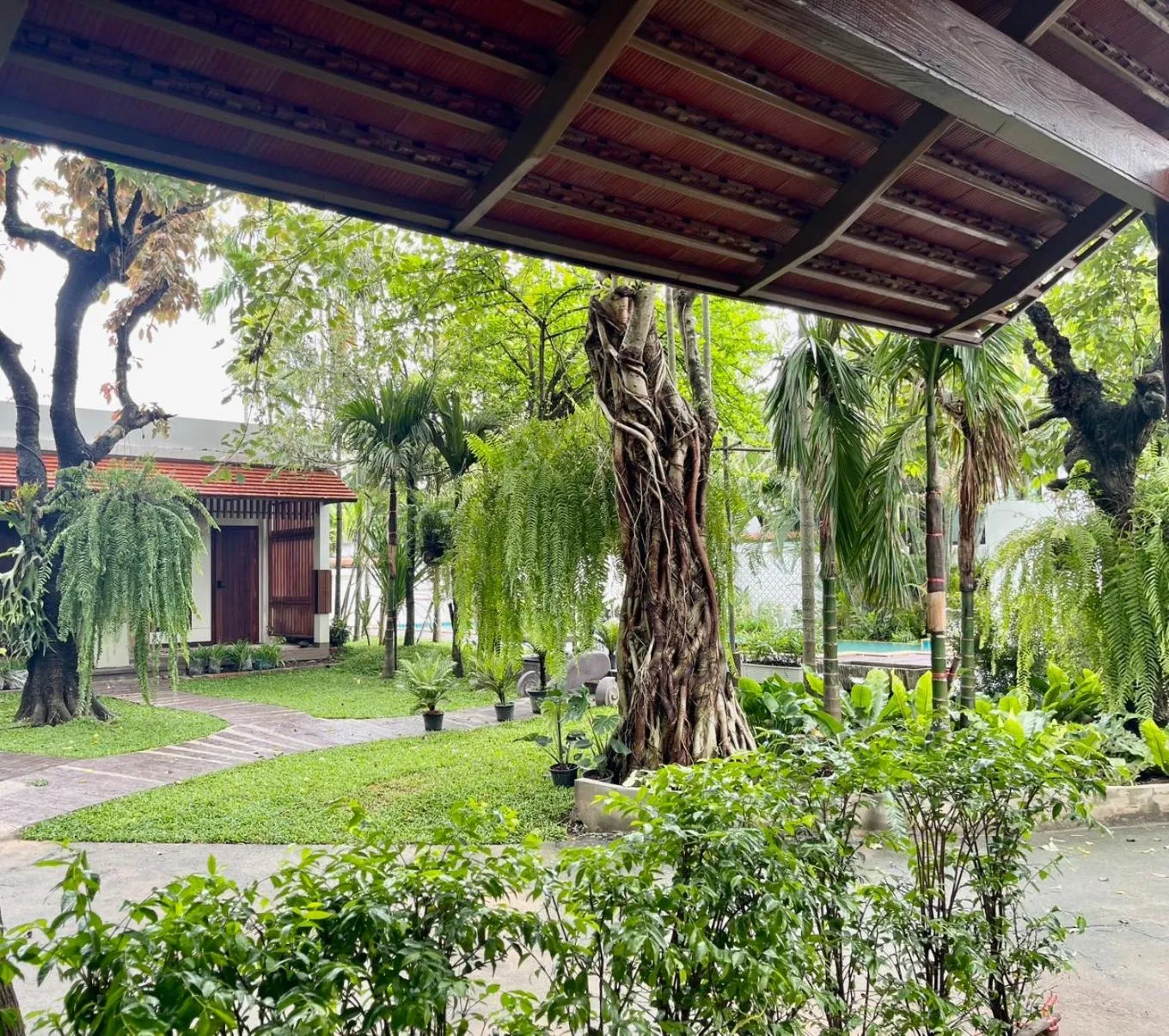 Natural landscape in Tai Resort