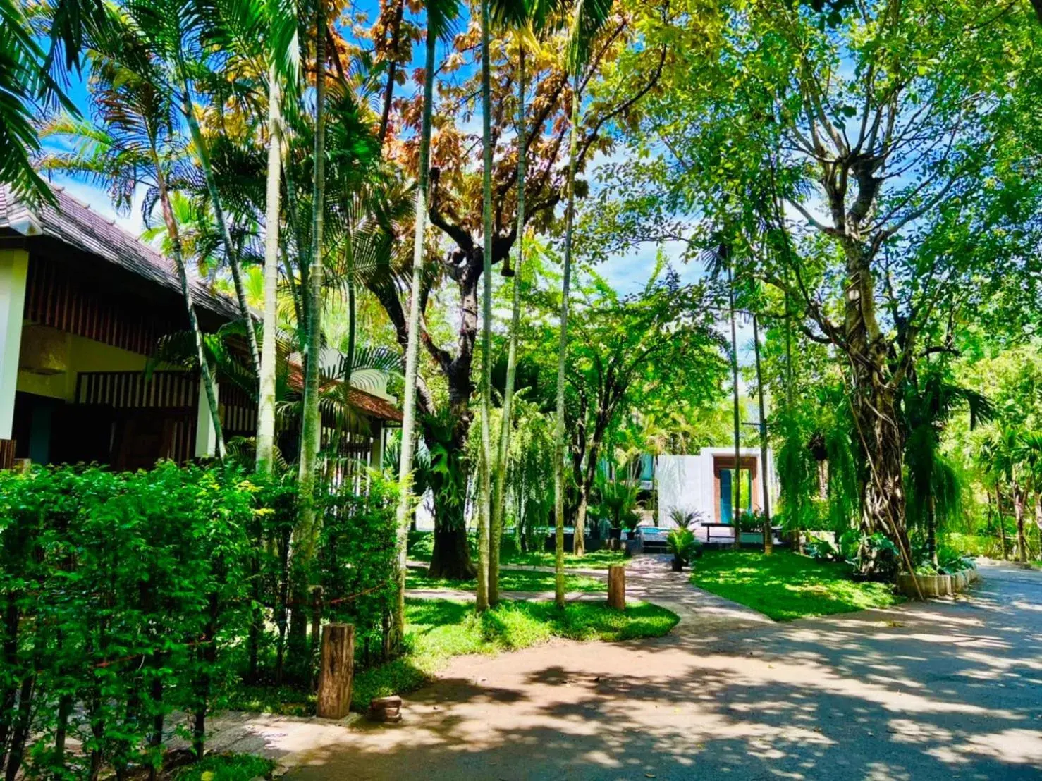 Twin Room with Terrace in Tai Resort Twin Room with Terrace in Tai Resort