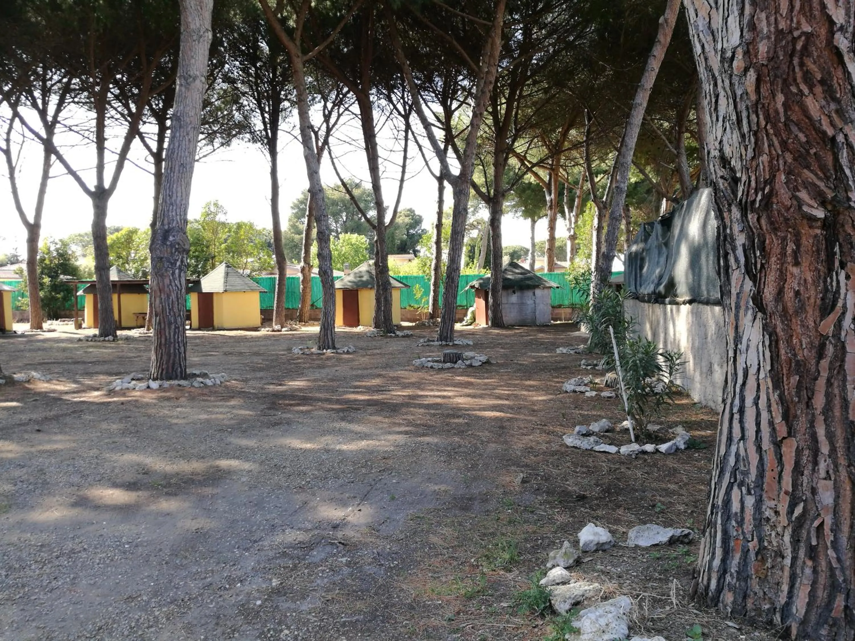 Garden in Hotel Paradiso