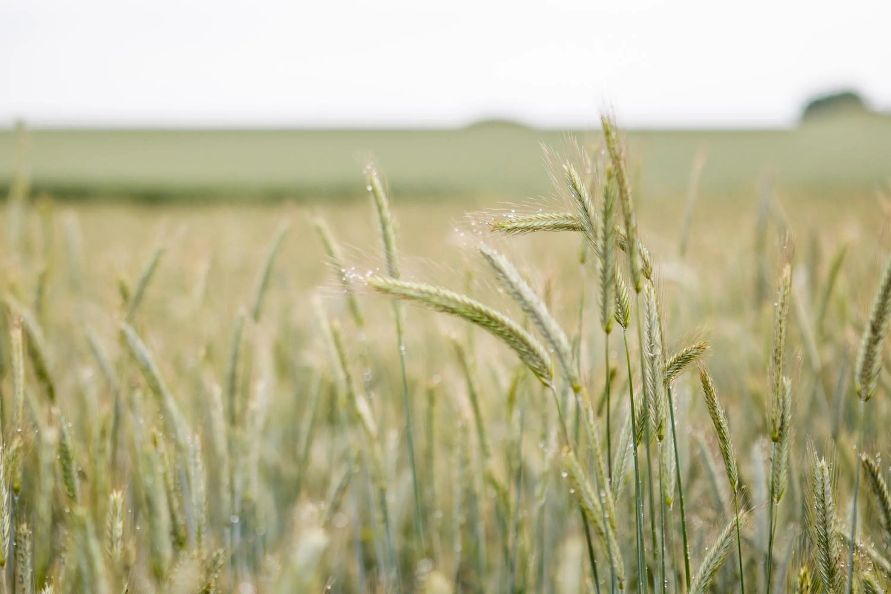 Property building in Bruksparkens Hostel