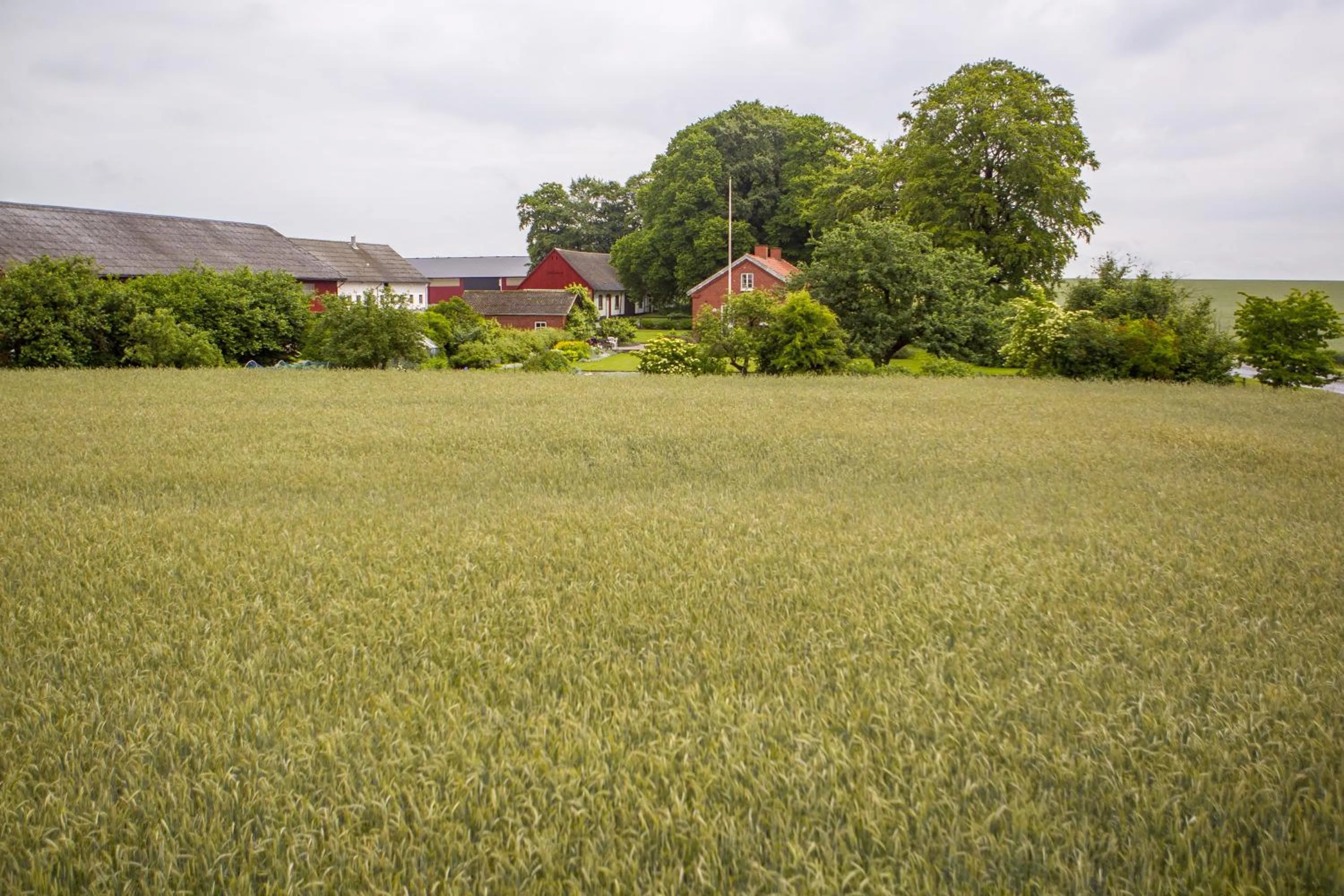 Other in Bruksparkens Hostel