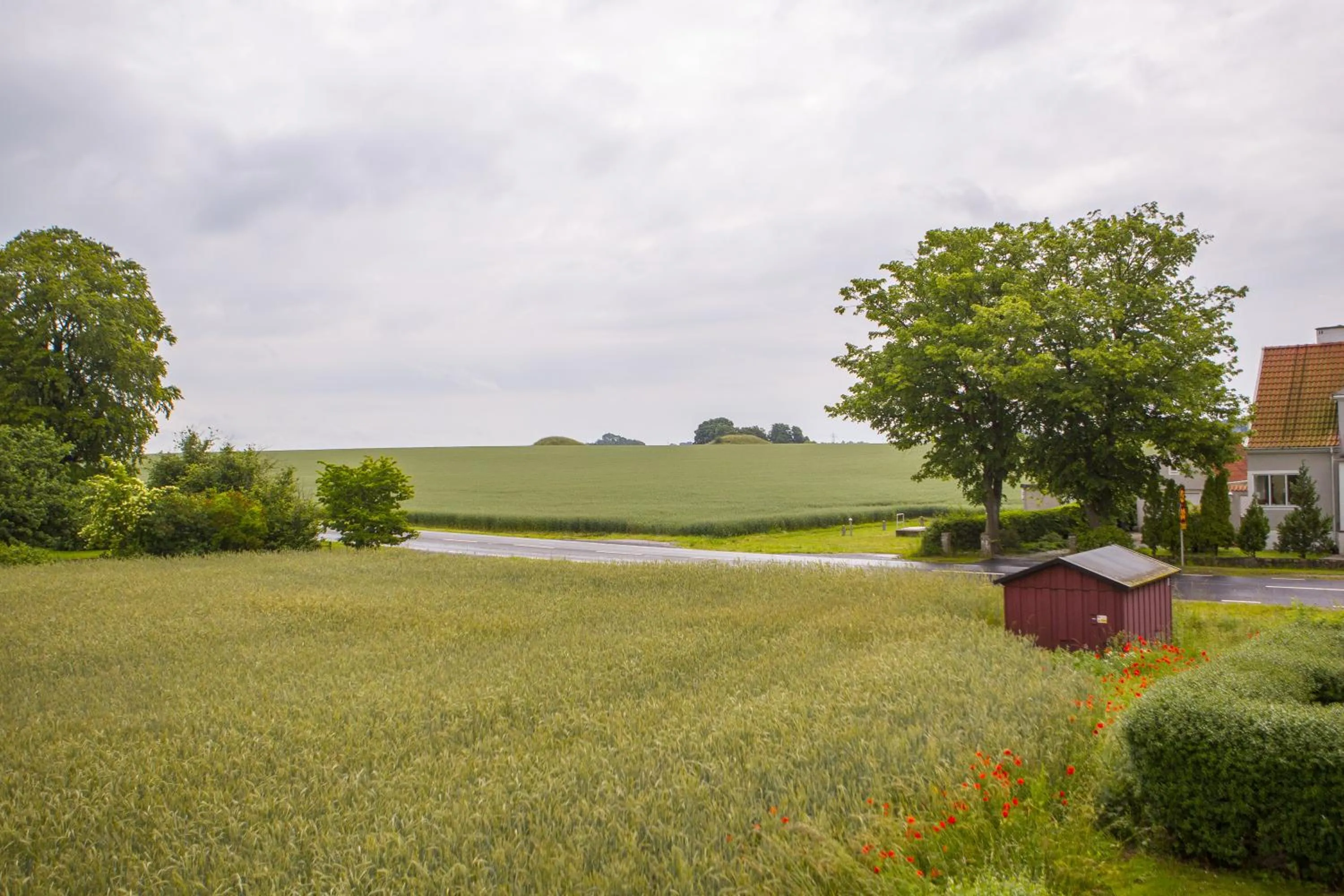 View (from property/room) in Bruksparkens Hostel