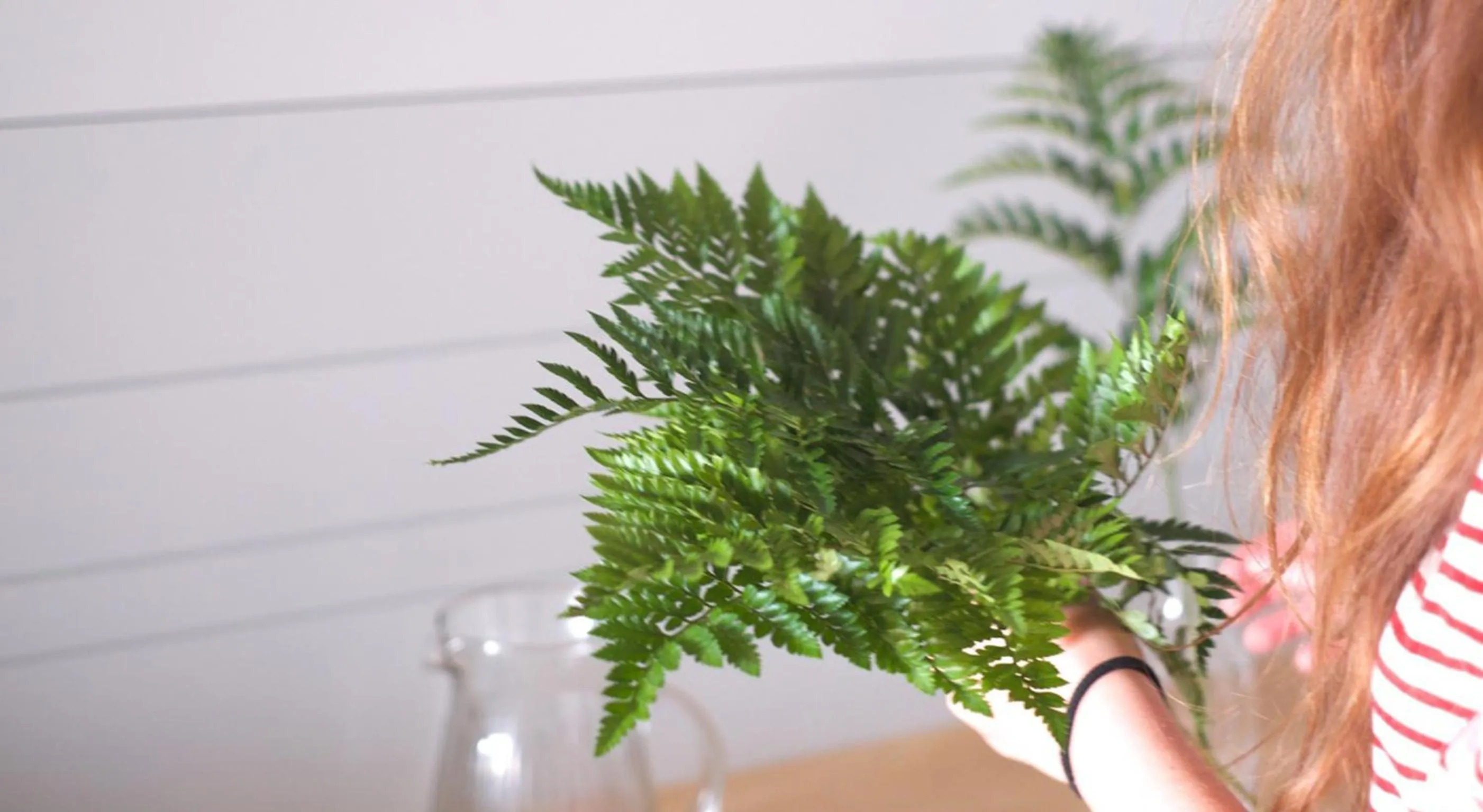 Staff in Lar Atlántica