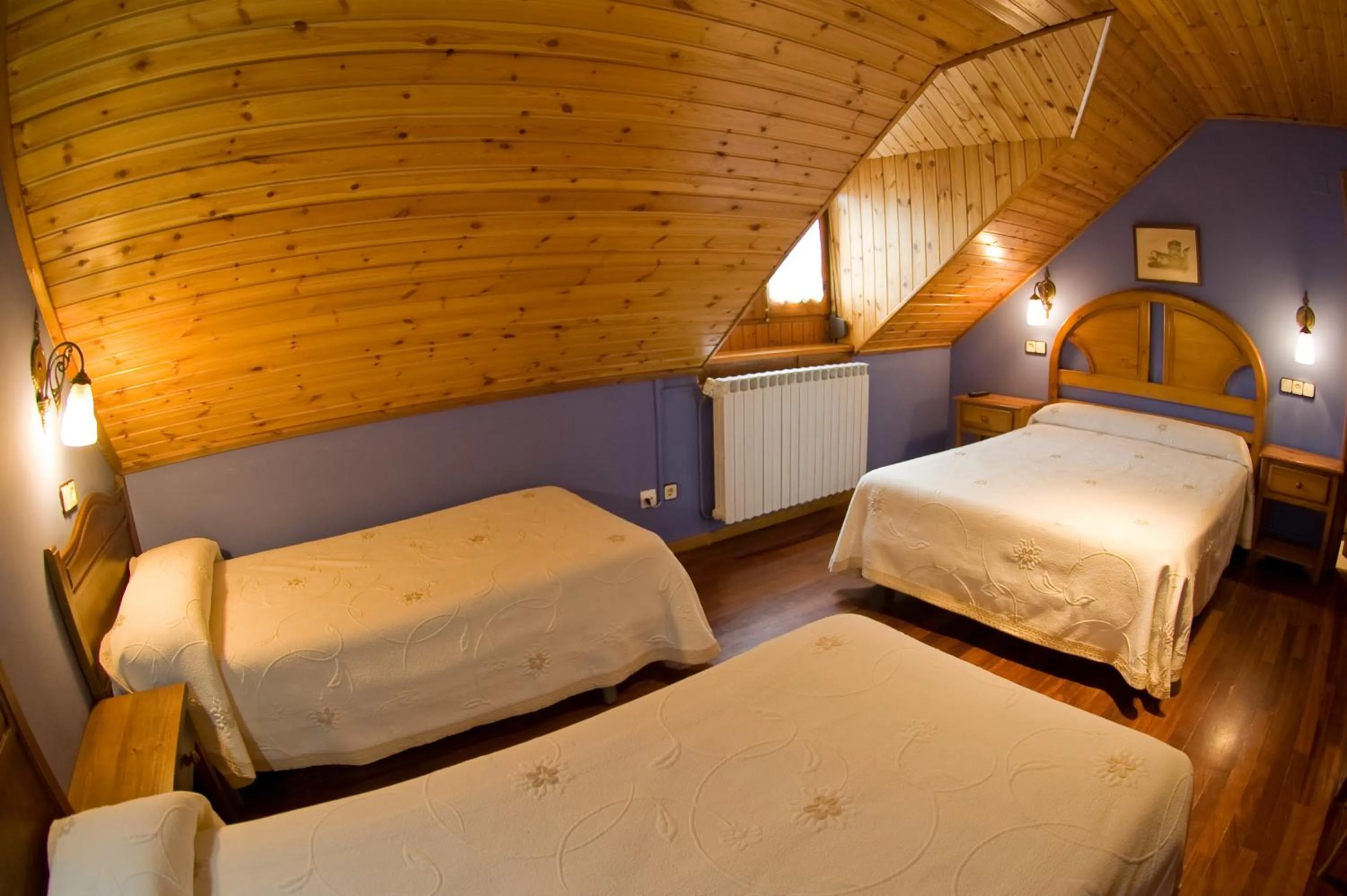 Hotel Avenida Benasque