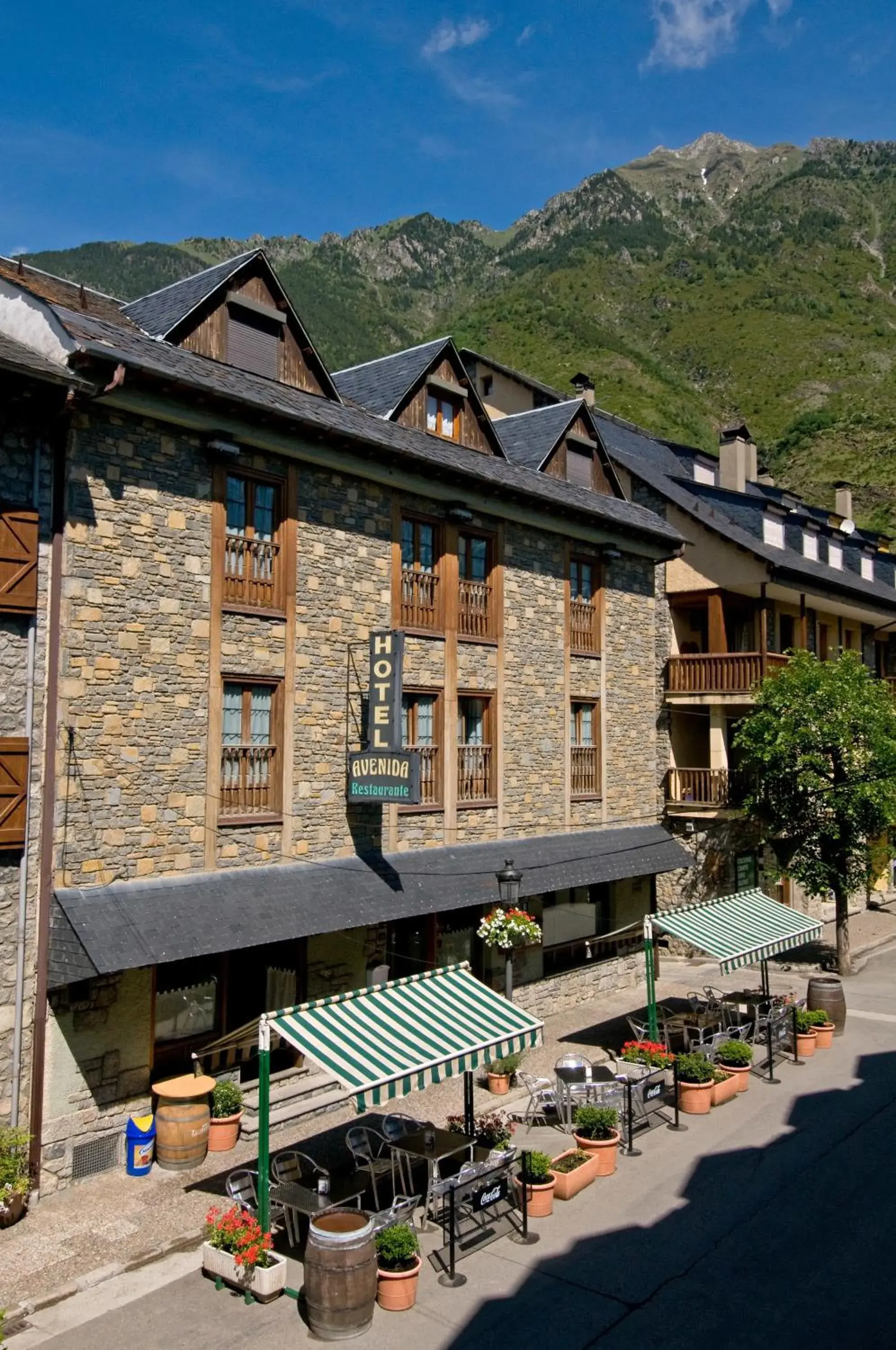 Hotel Avenida Benasque Hotel Avenida Benasque