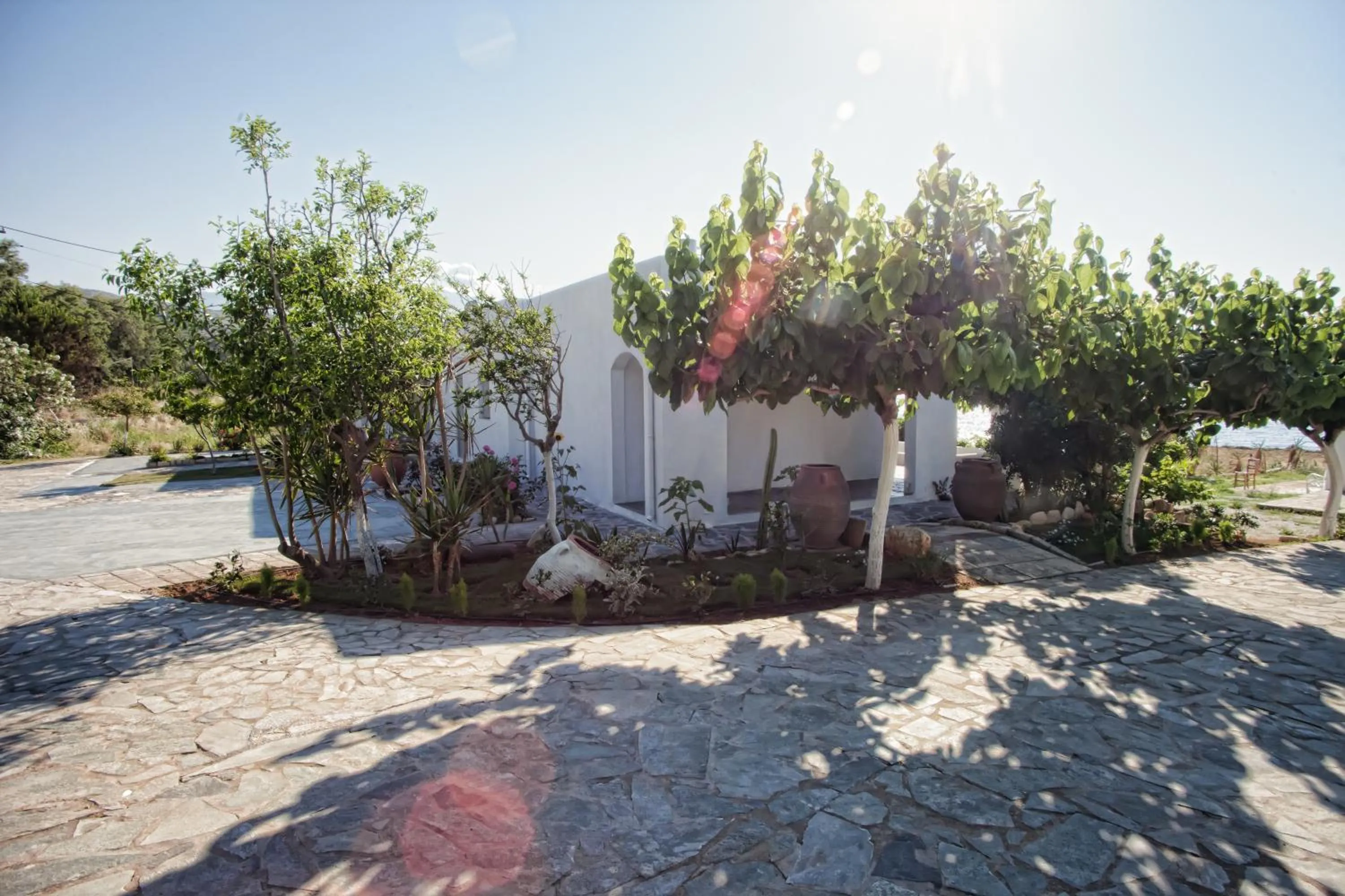 Garden in Artemis Seafront Apartments