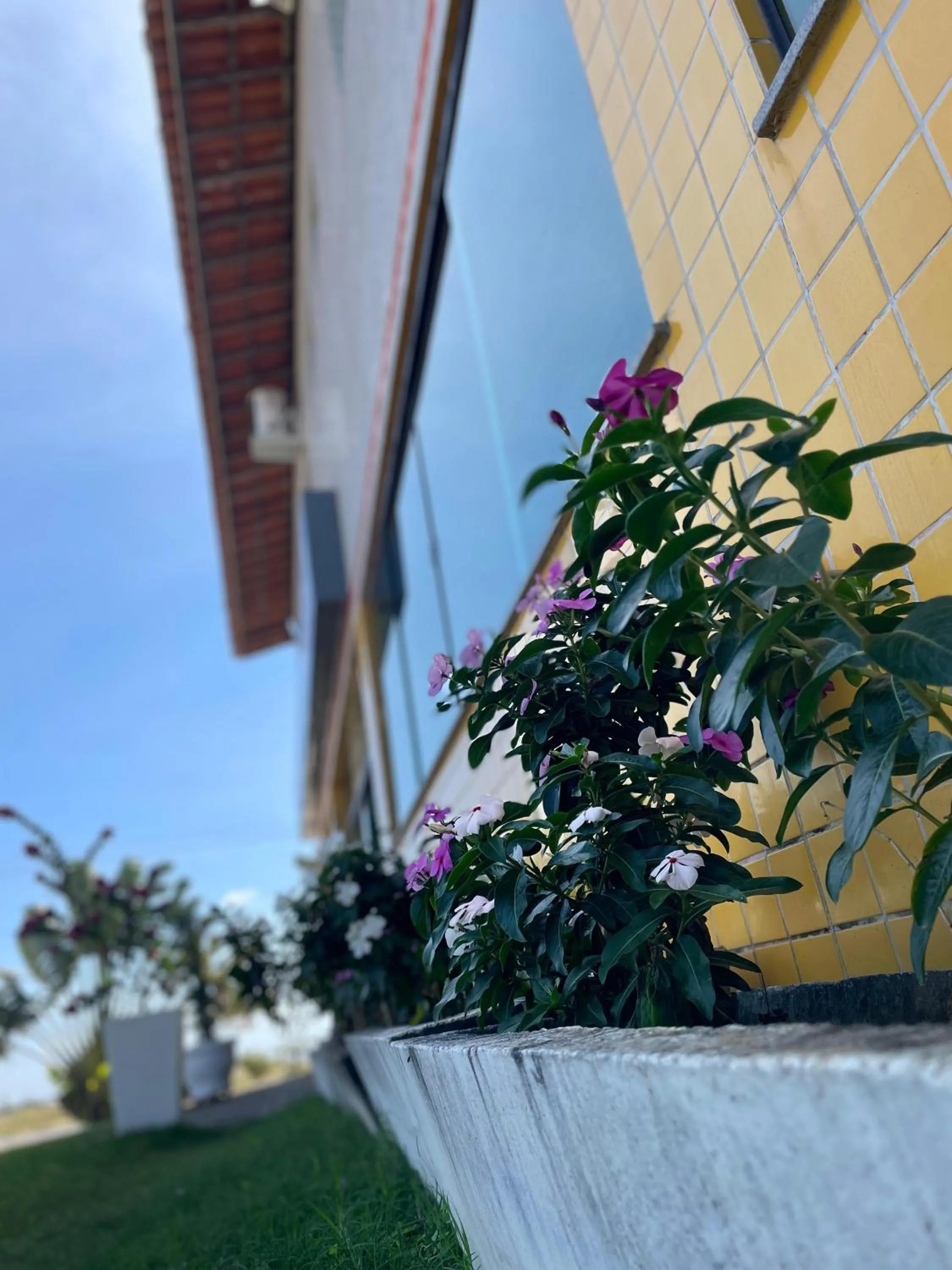 Property building in Pousada Alvorada