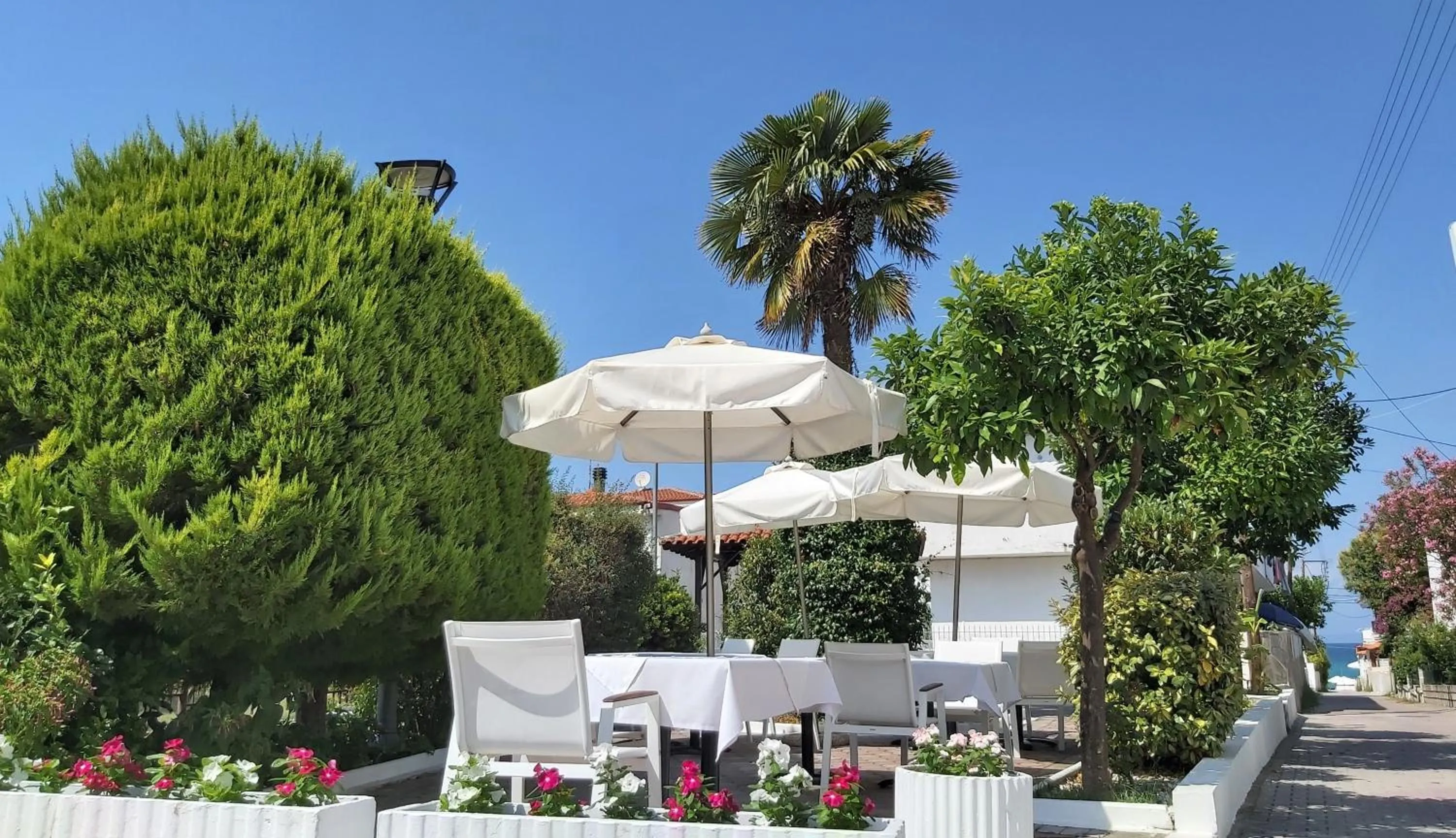 Garden in Akrogiali Exclusive Hotel (Adults Only)