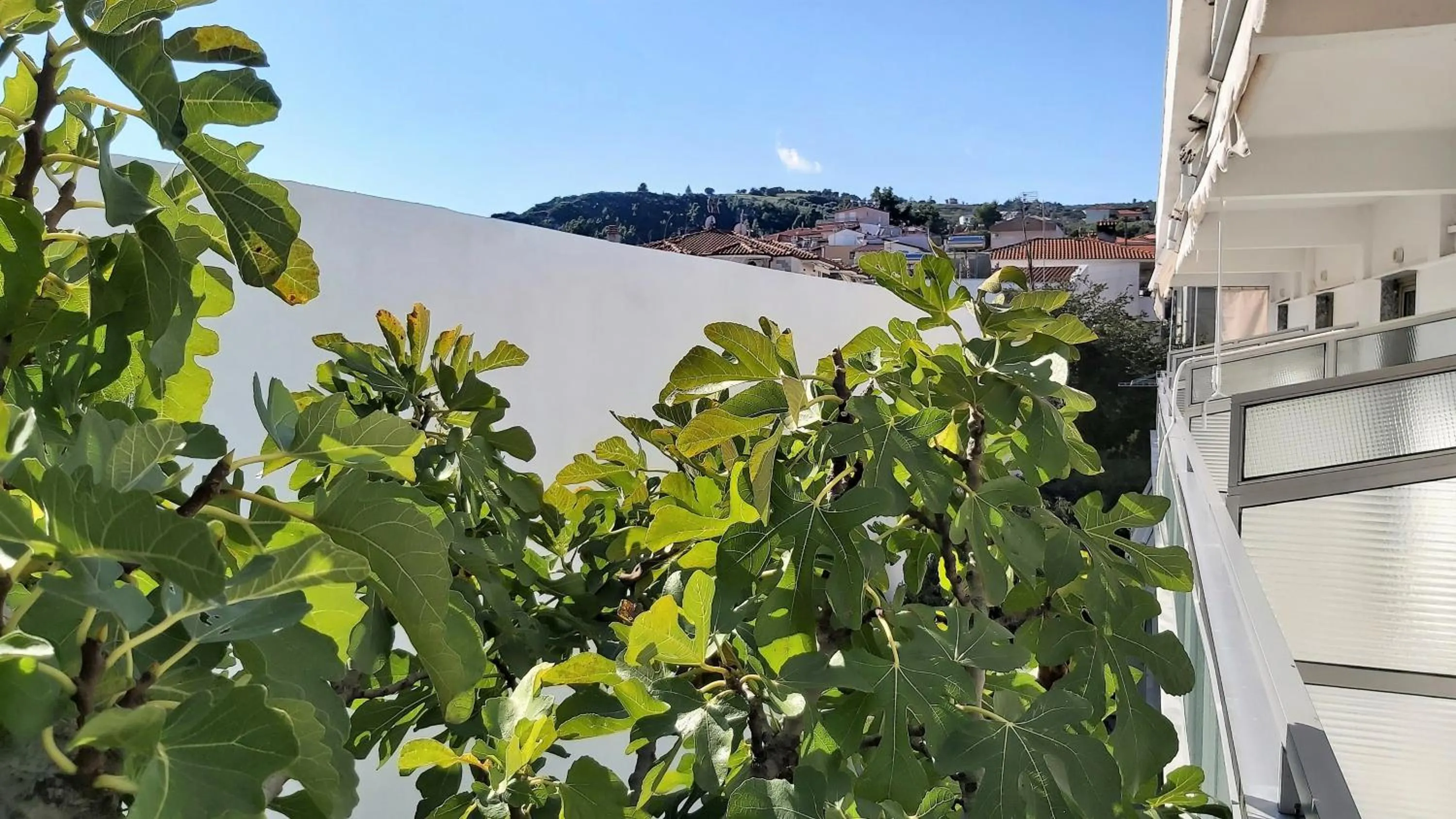 Balcony/Terrace in Akrogiali Exclusive Hotel (Adults Only)