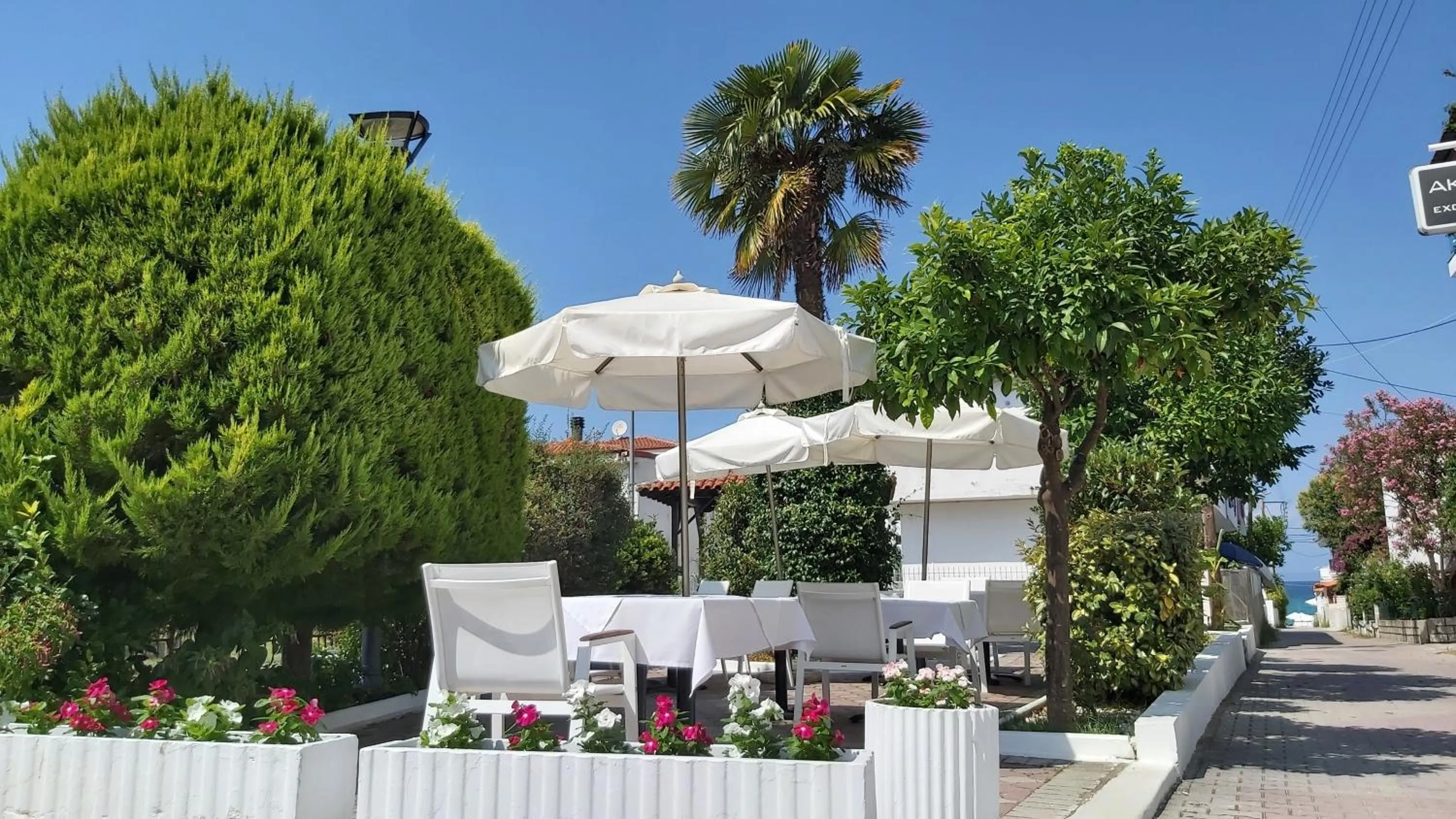 Garden in Akrogiali Exclusive Hotel (Adults Only)