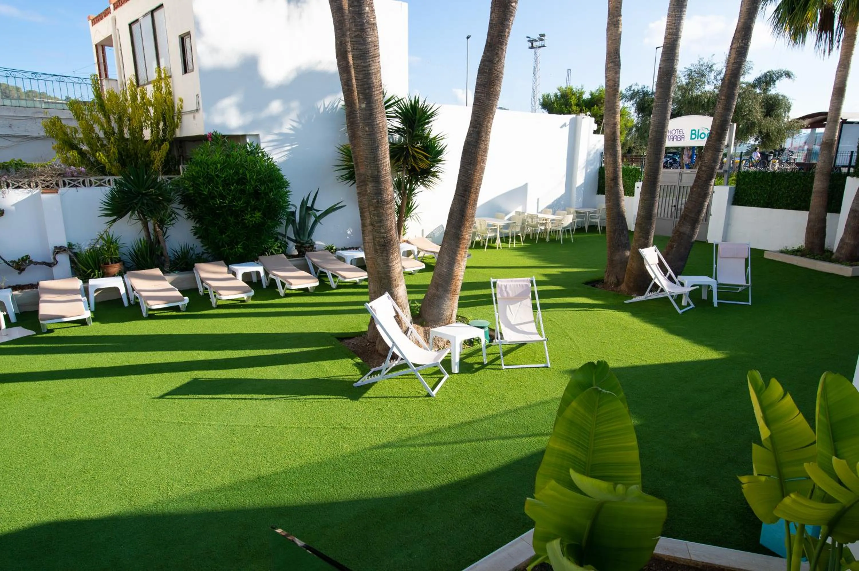 Garden in Hotel Tarba