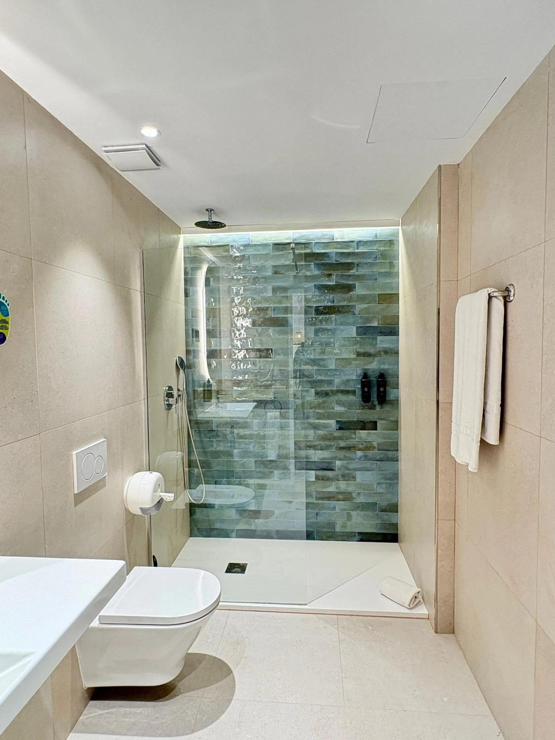 Shower in Hotel Tarba