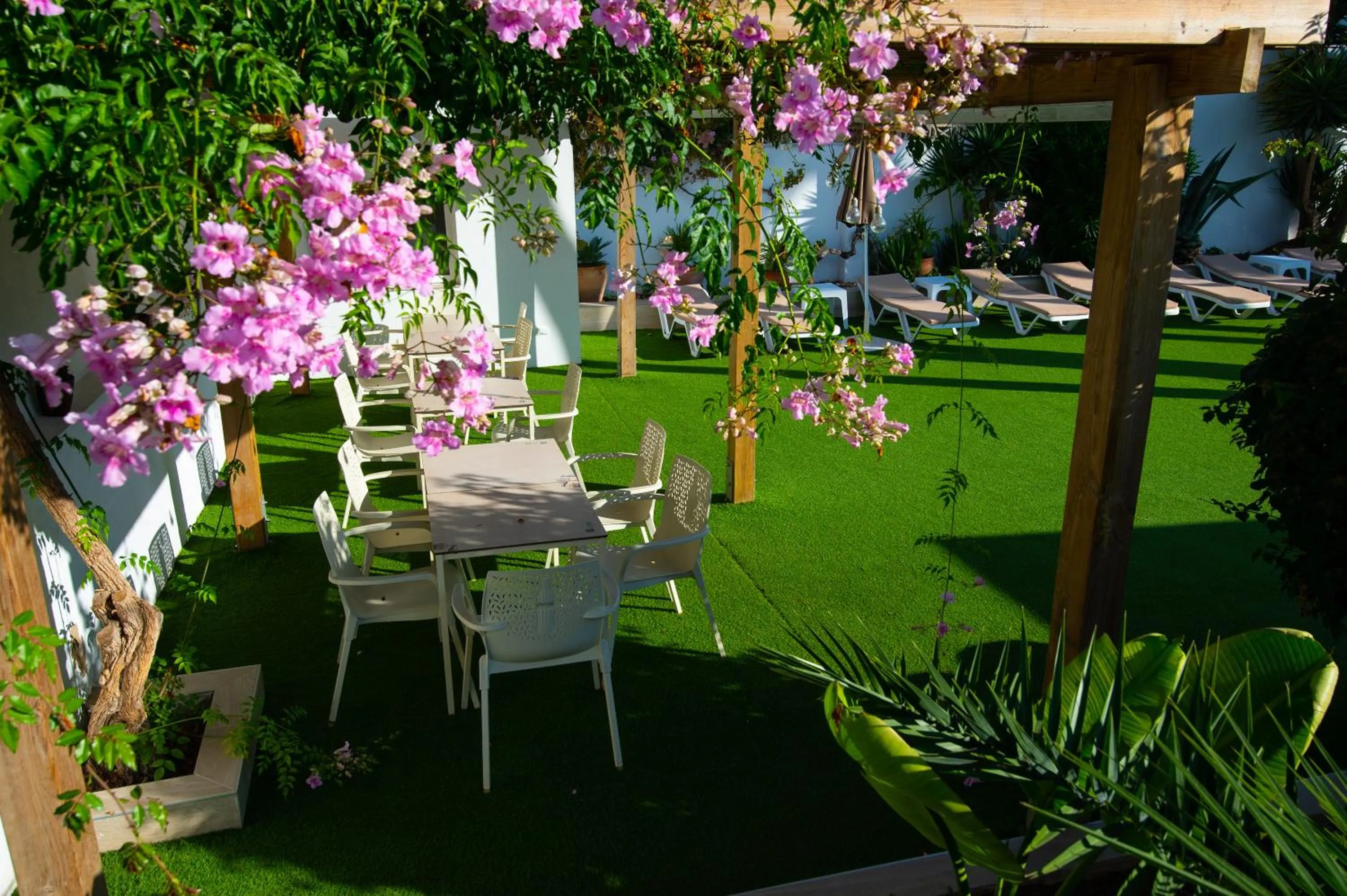 Garden in Hotel Tarba