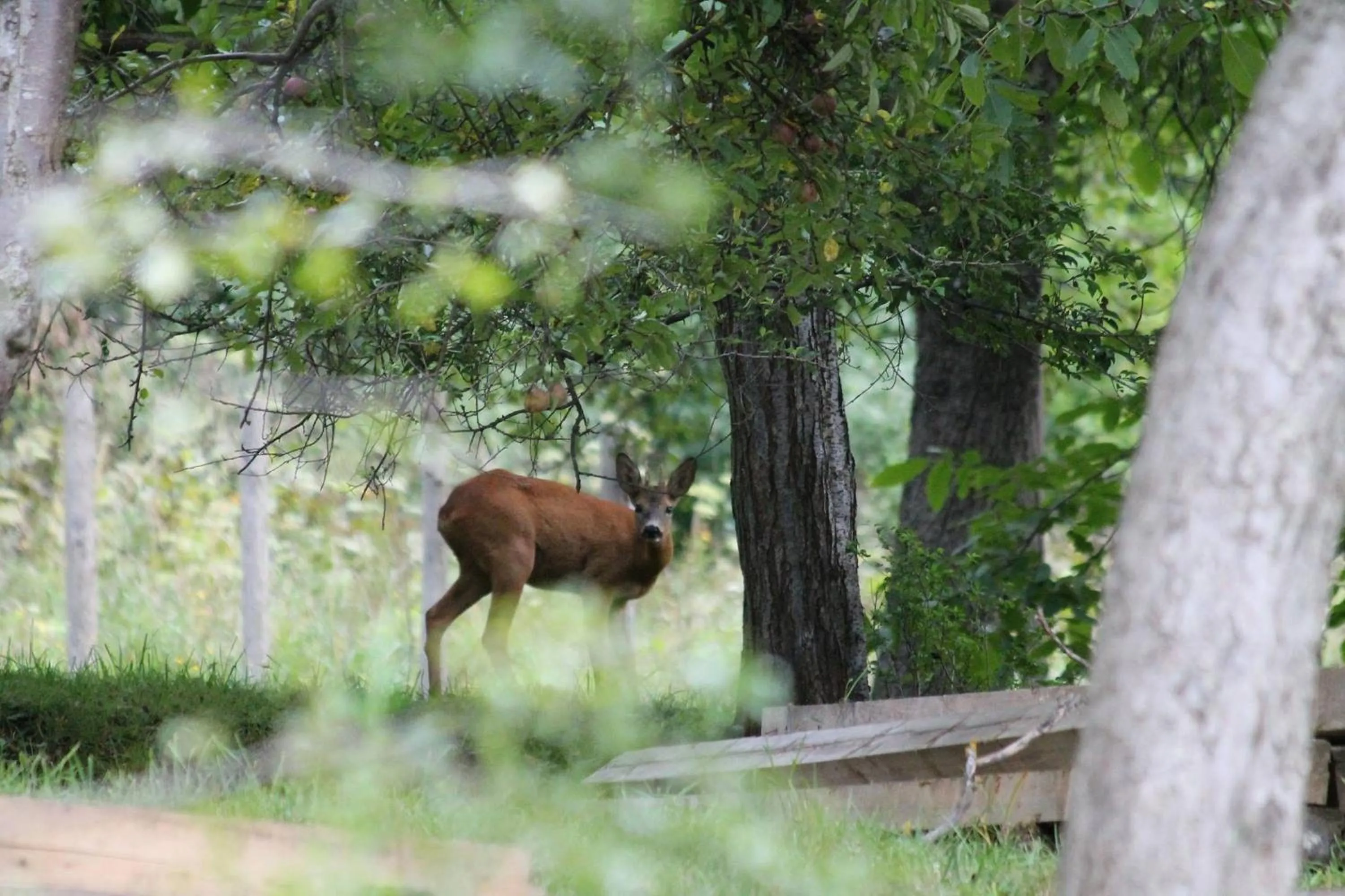 Nearby landmark in Casa Lily - Japanese Retreat