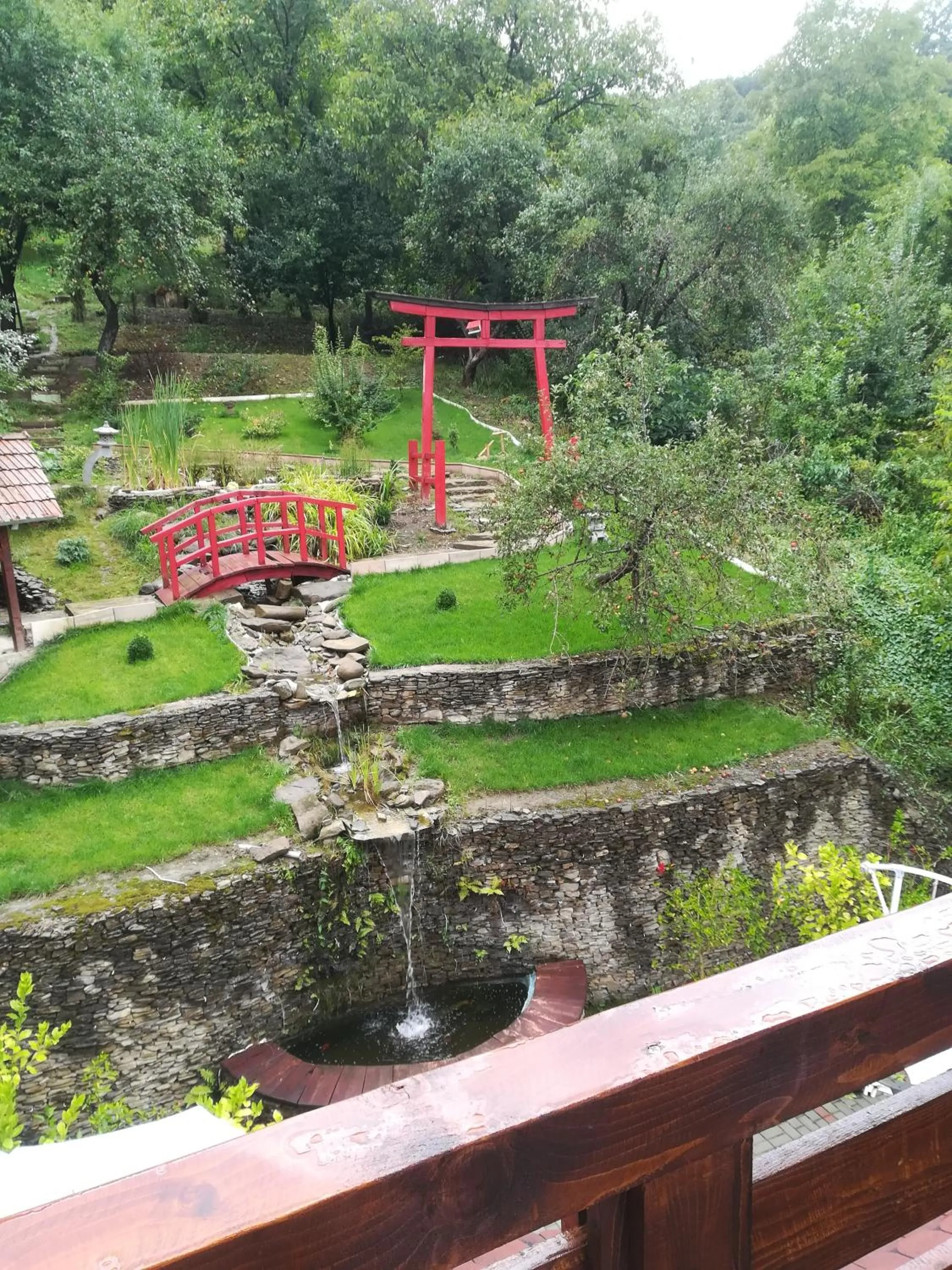 Garden view in Casa Lily - Japanese Retreat