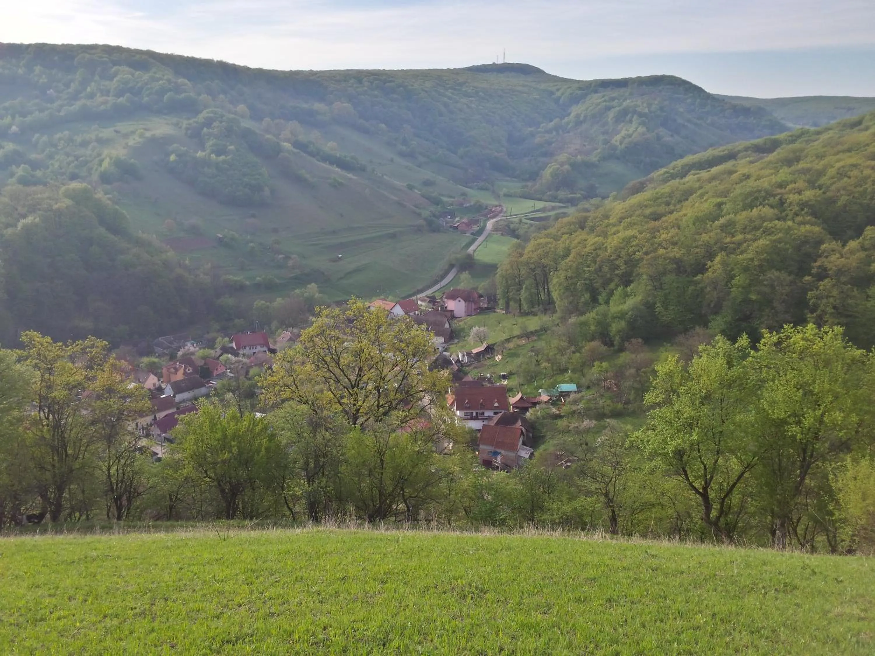 Neighbourhood in Casa Lily - Japanese Retreat