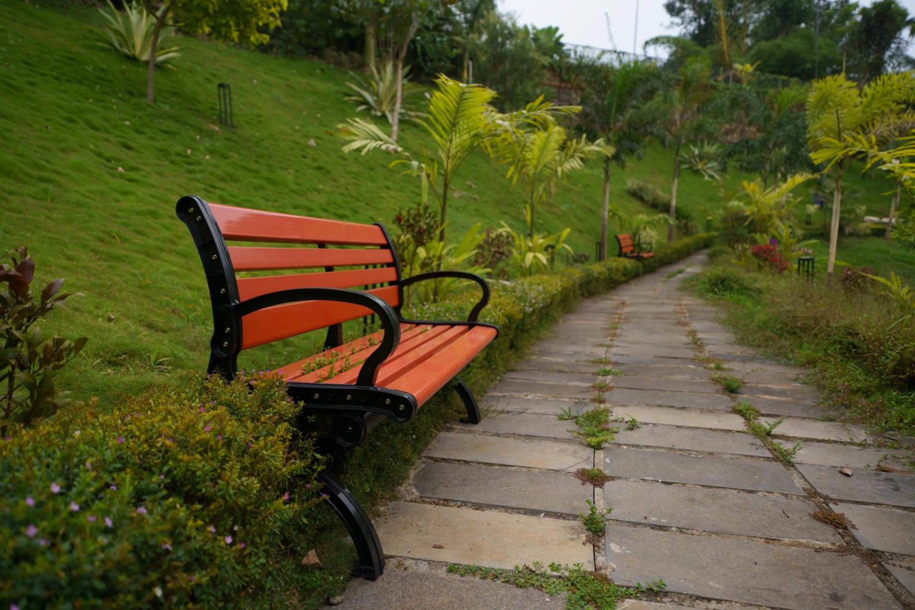 Garden in EVORA Resort and SPA