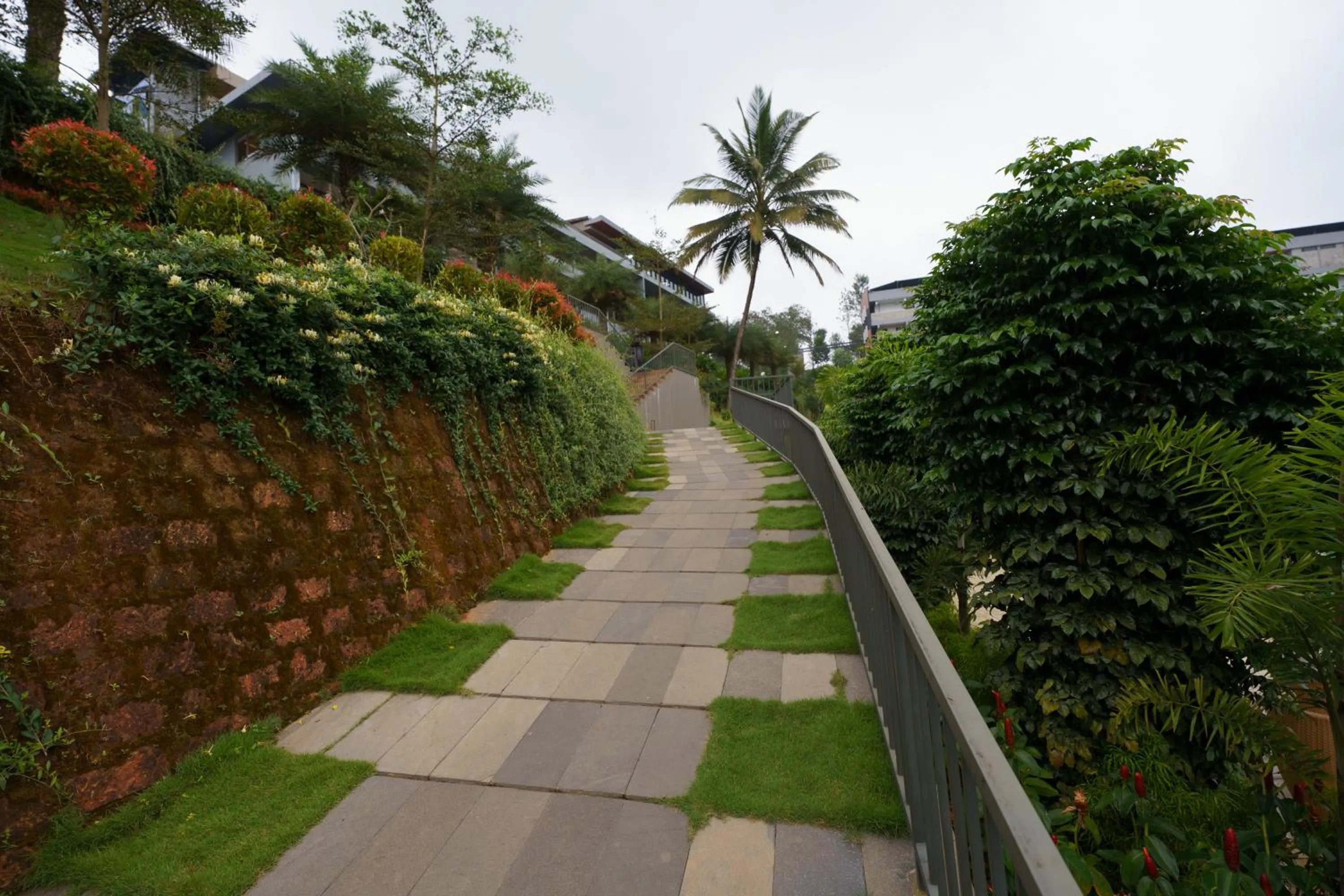 Natural landscape in EVORA Resort and SPA