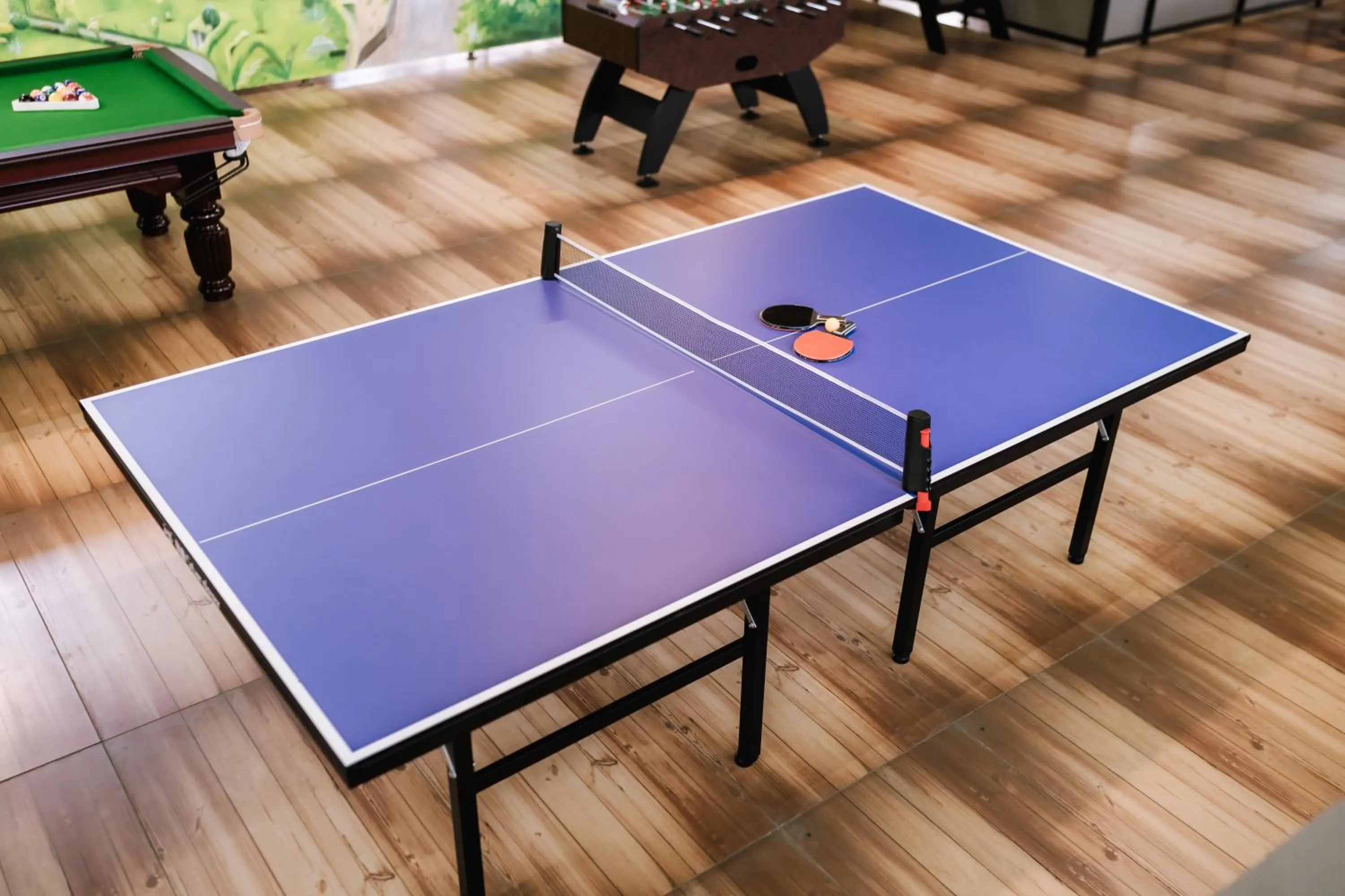 Game Room in EVORA Resort and SPA