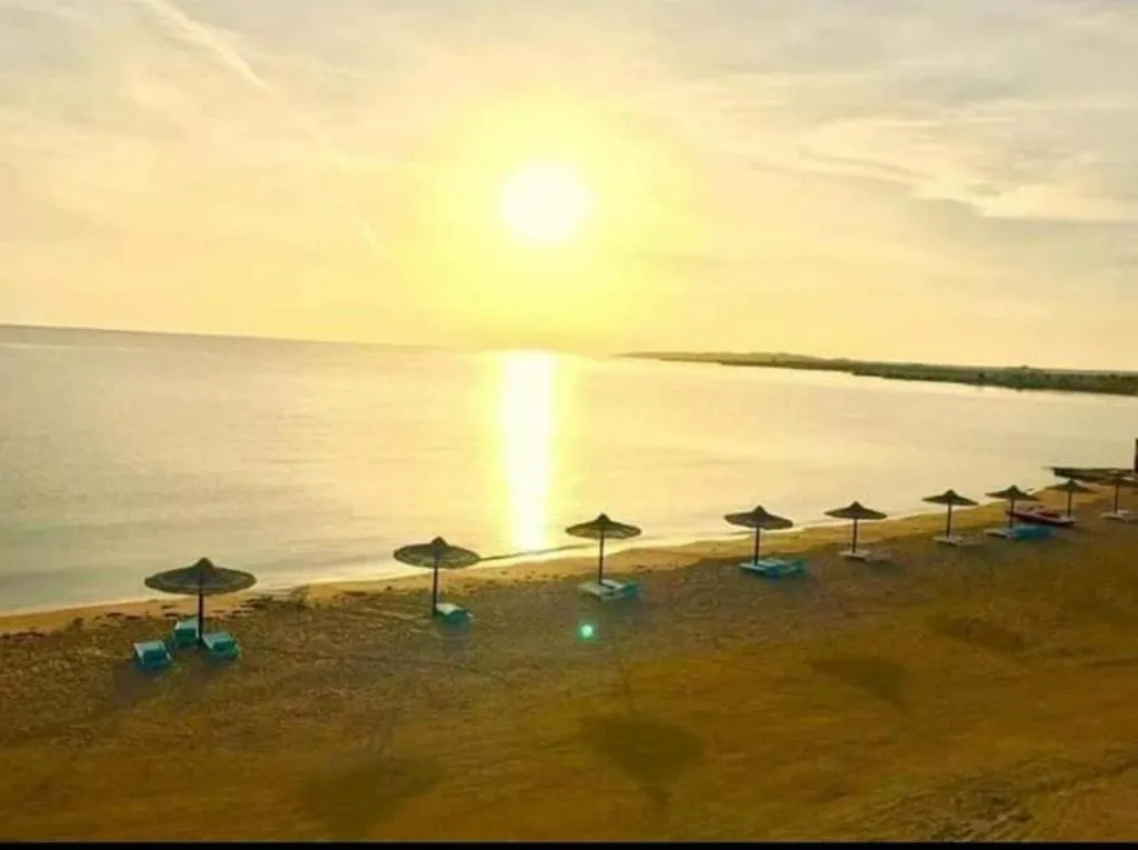 Cecelia Resort - Studio chalet