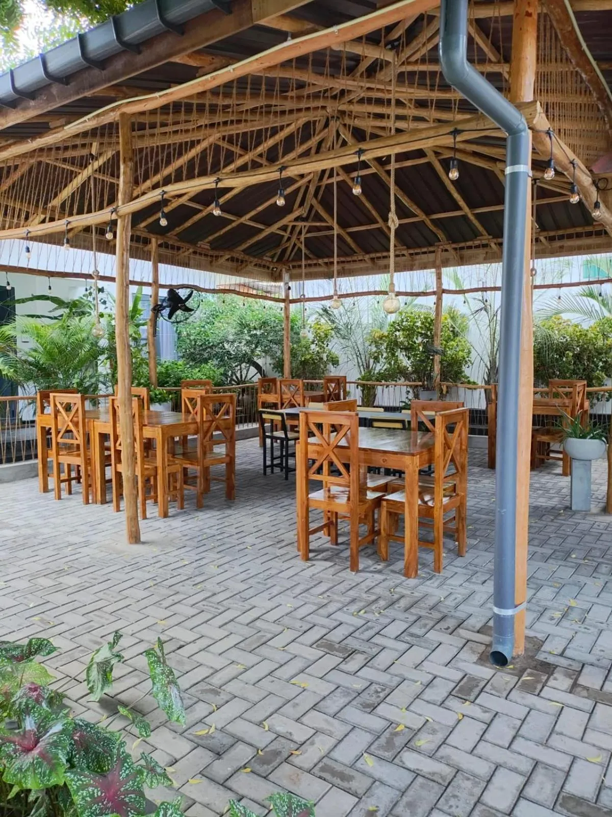 Restaurant/places to eat in Neem Tree House, Trincomalee