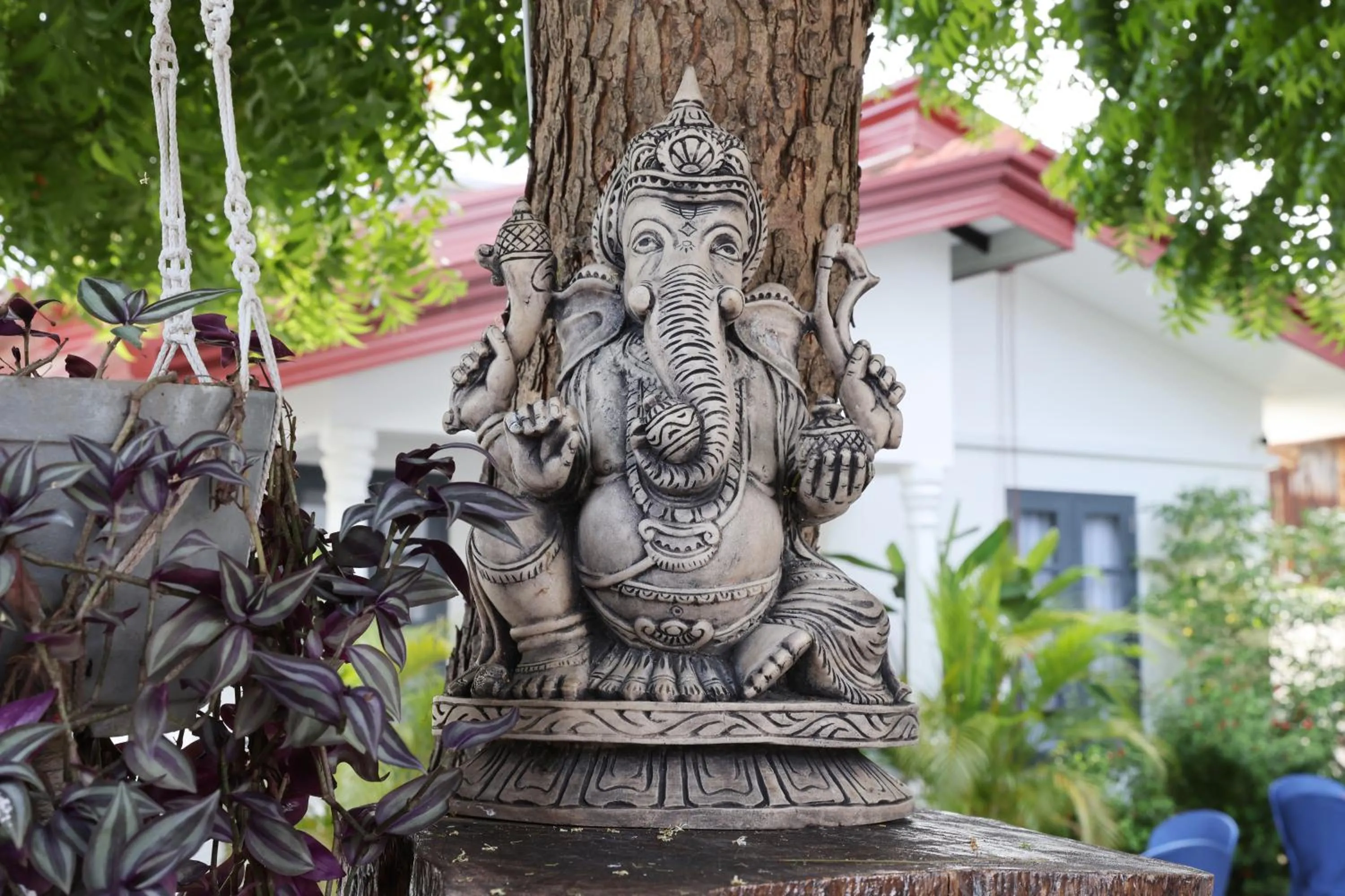 Garden in Neem Tree House, Trincomalee