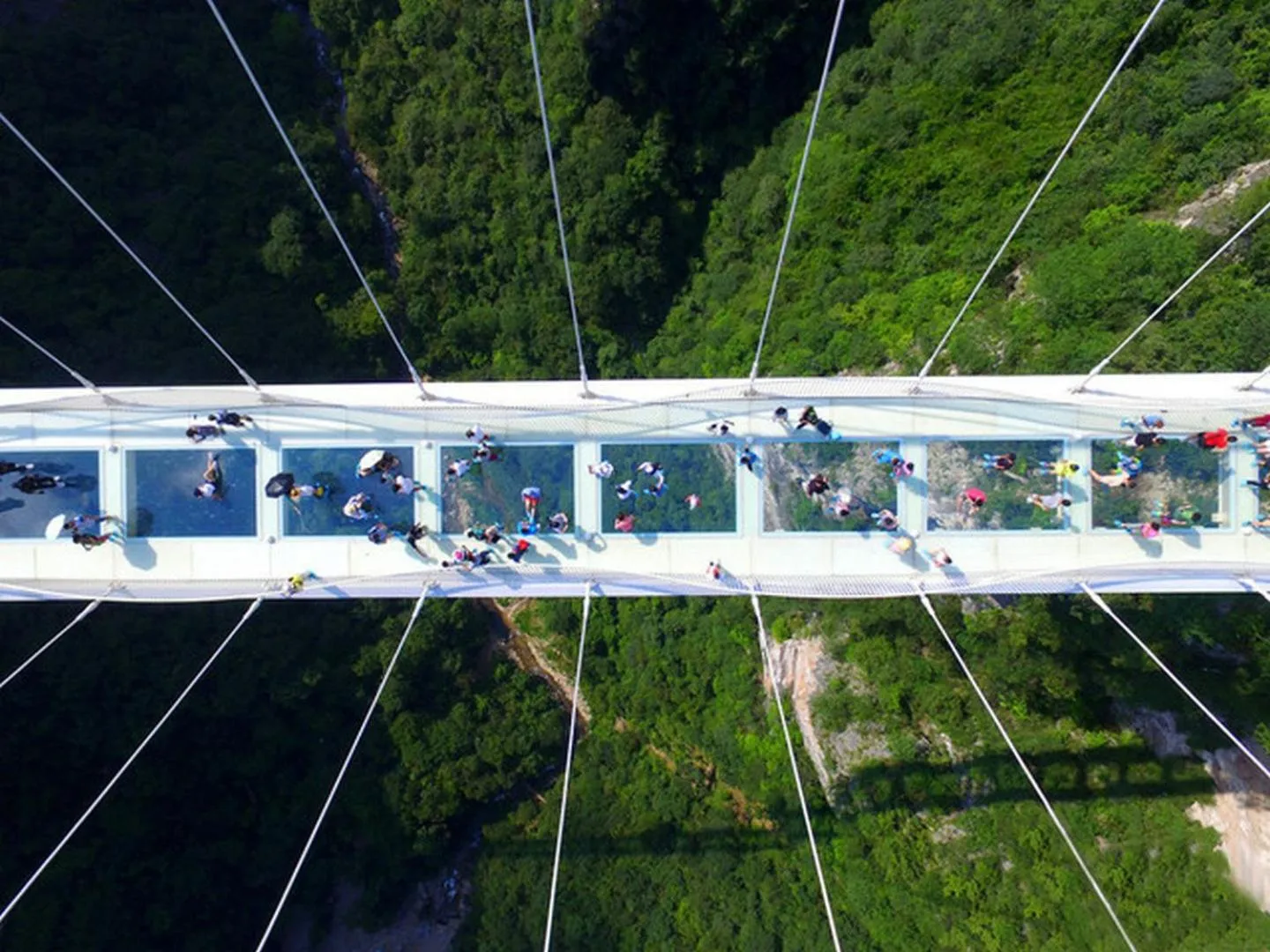 Day in Zhangjiajie International Hotel