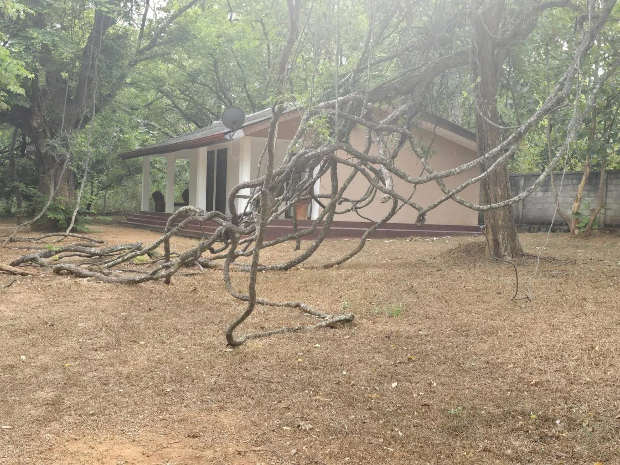 Garden in Eighth Wonder Resort