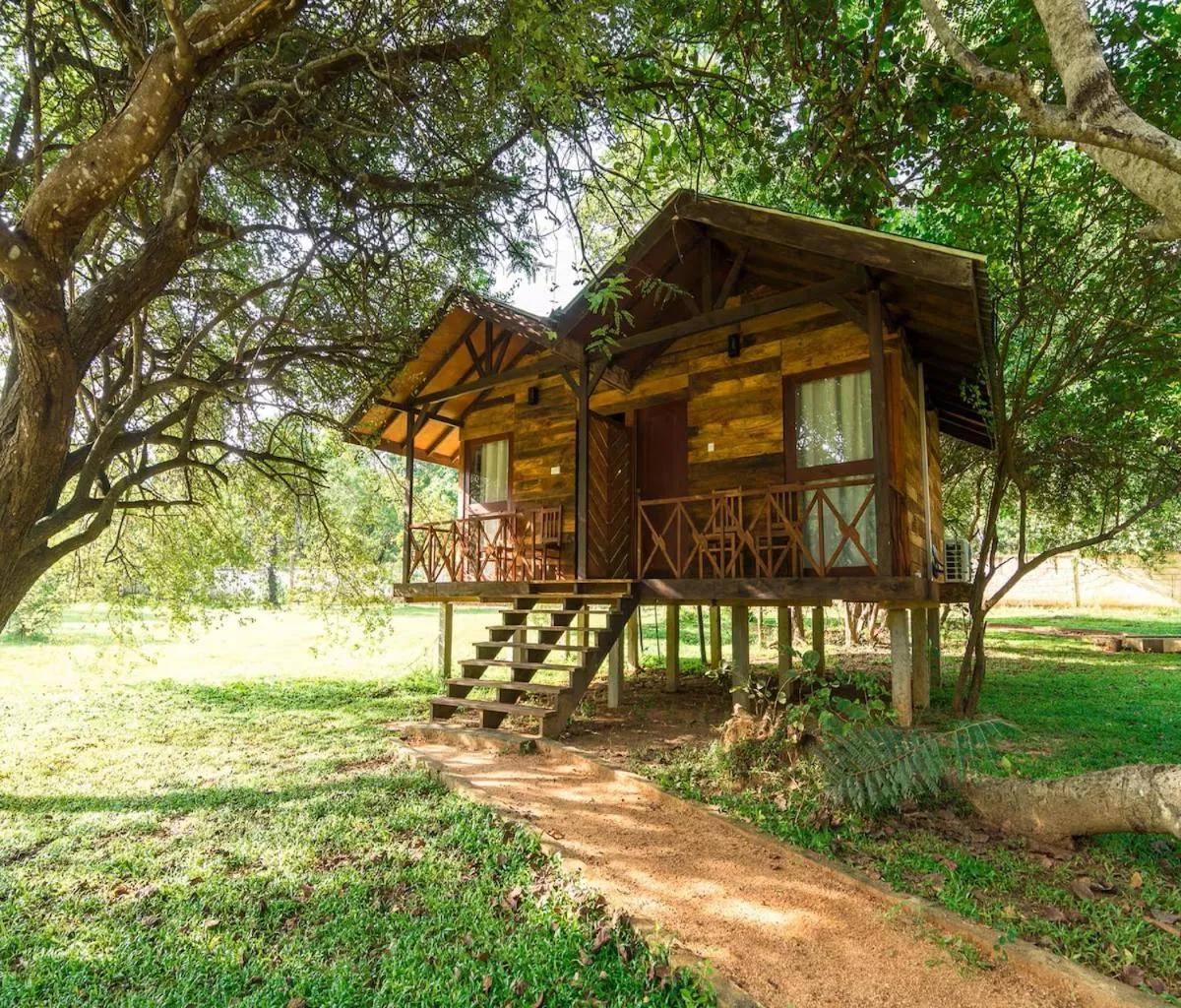 Day in Eighth Wonder Resort